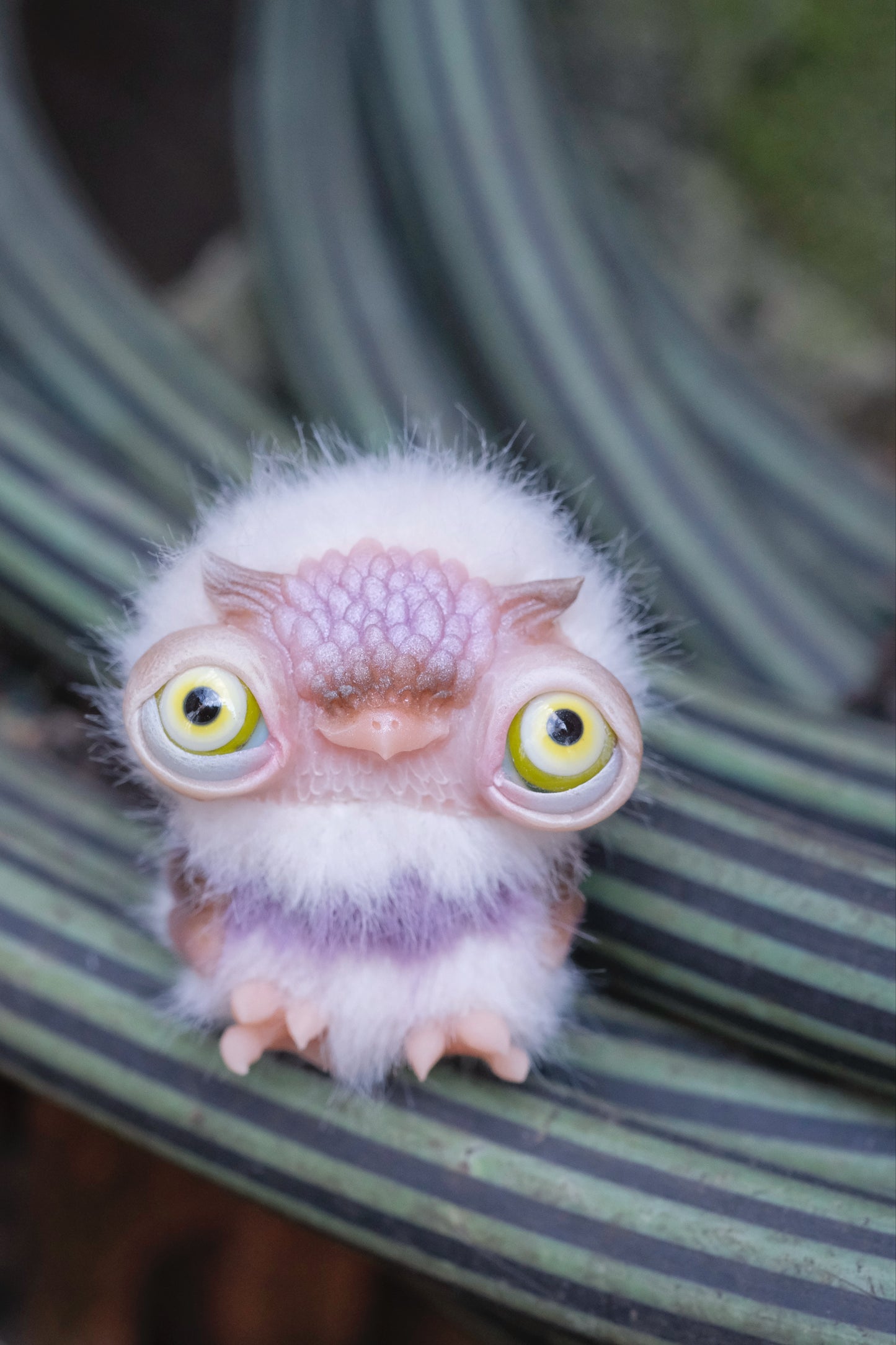 Cute Owlet