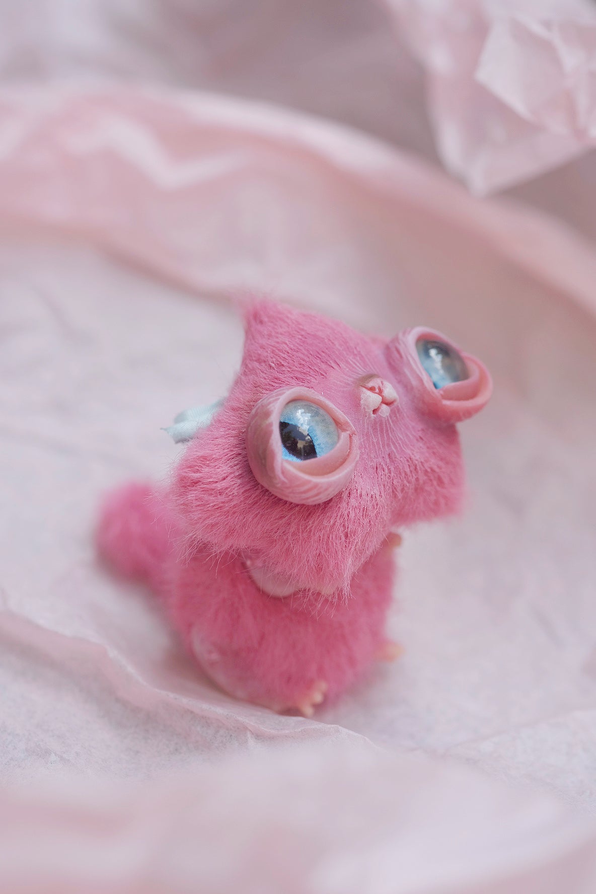 Star Kitty