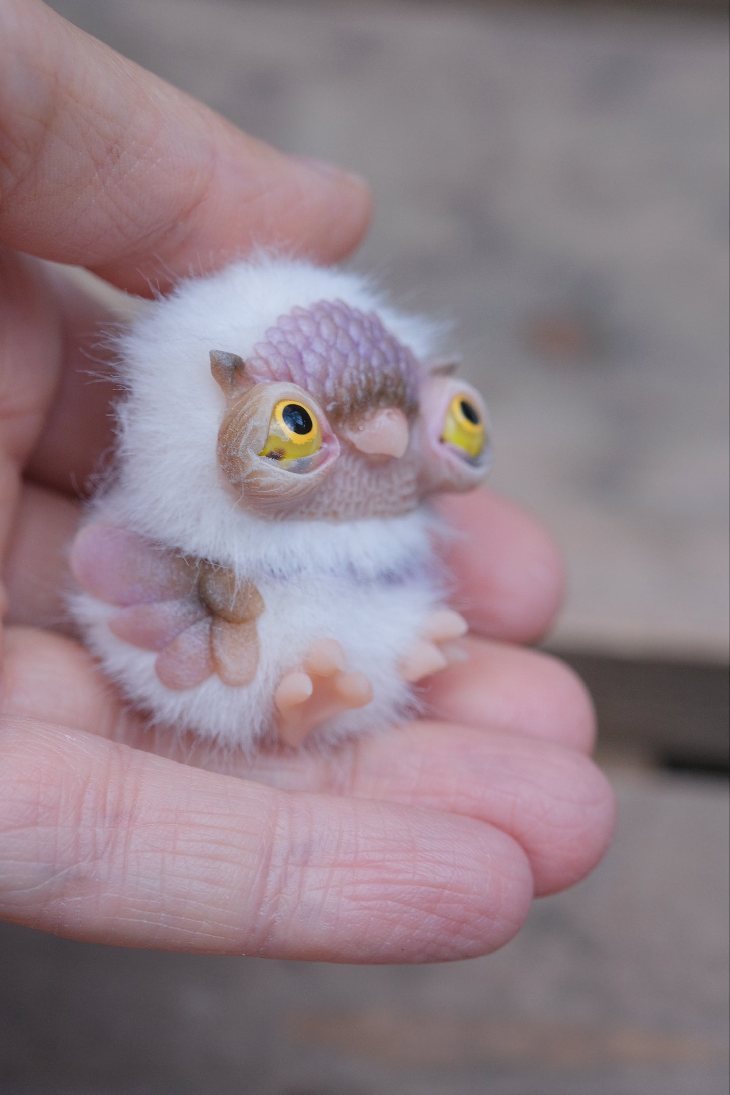 Cute Owlet