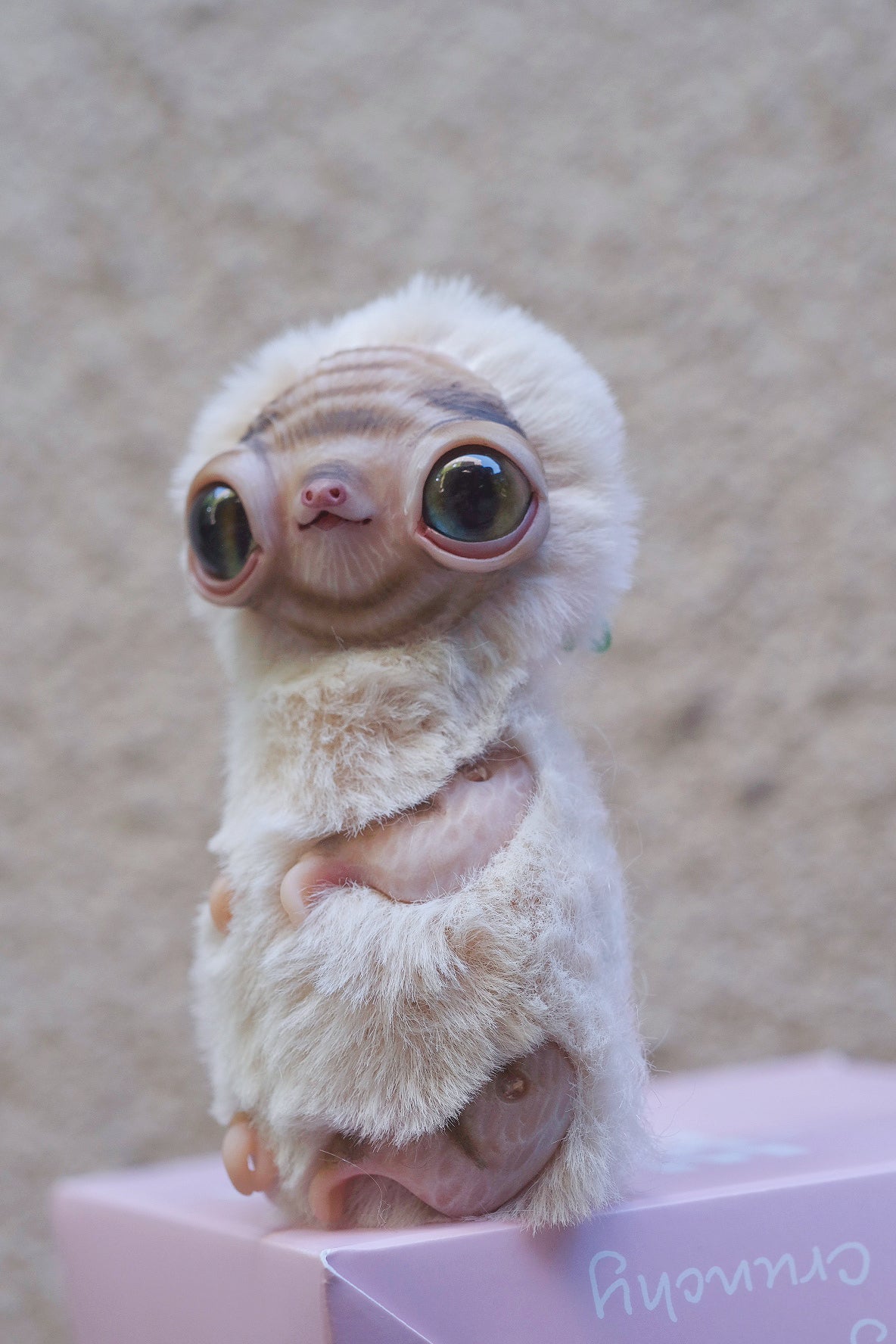 Albino Sloth