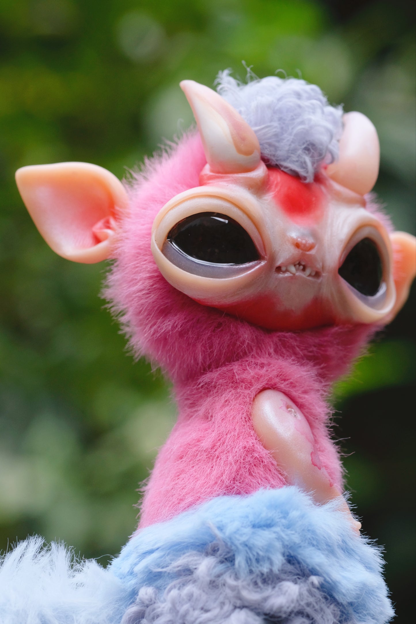 Little Imp