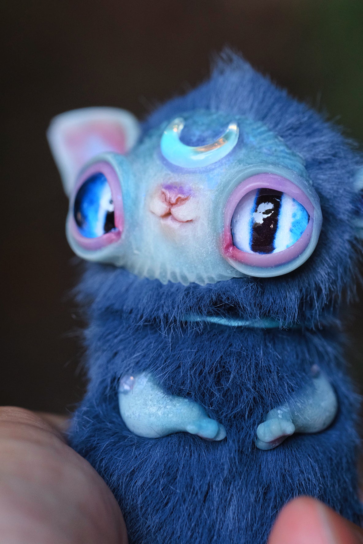 Crescent Kitty Nightwish