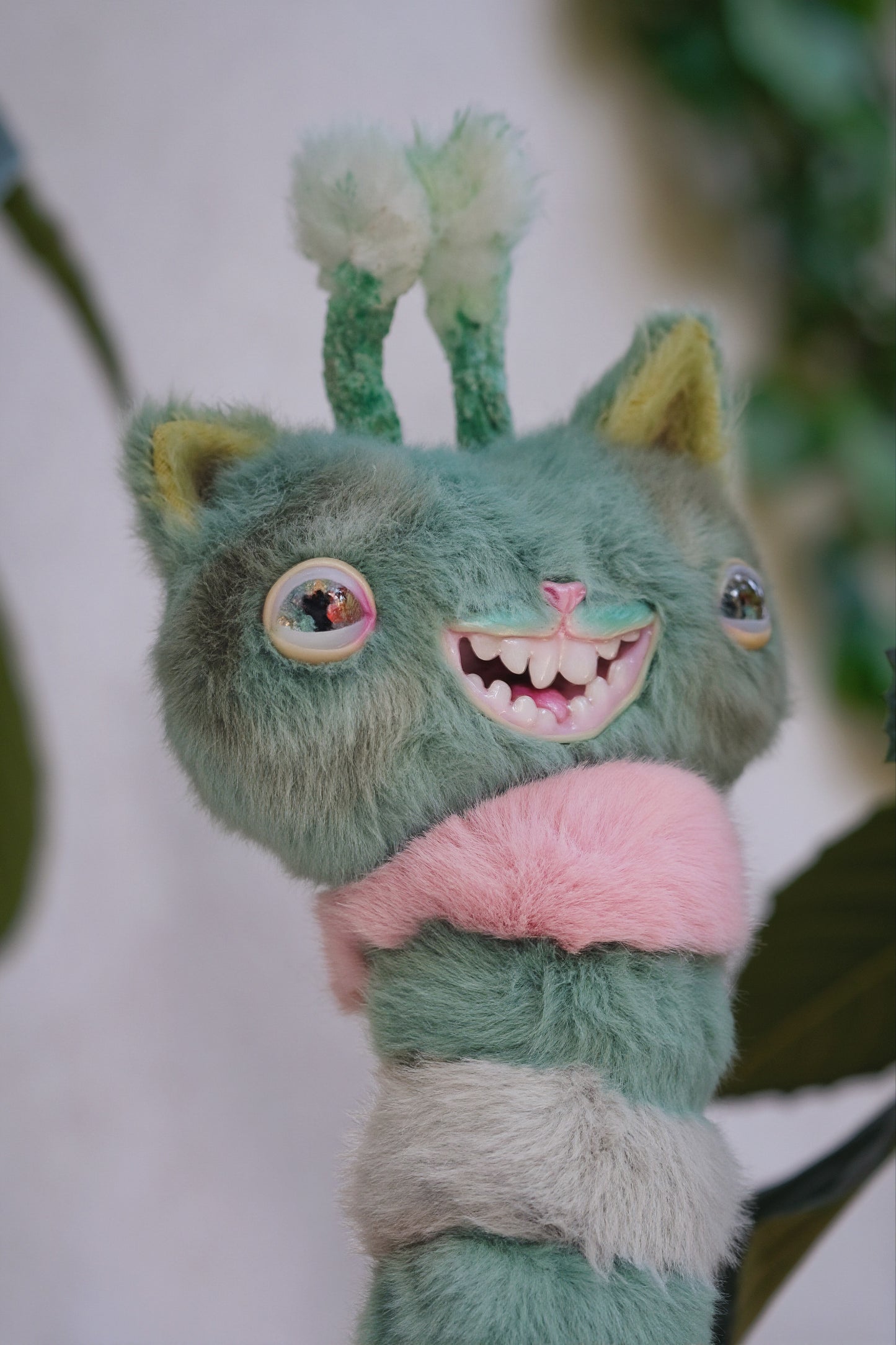 Kitty Caterpillar