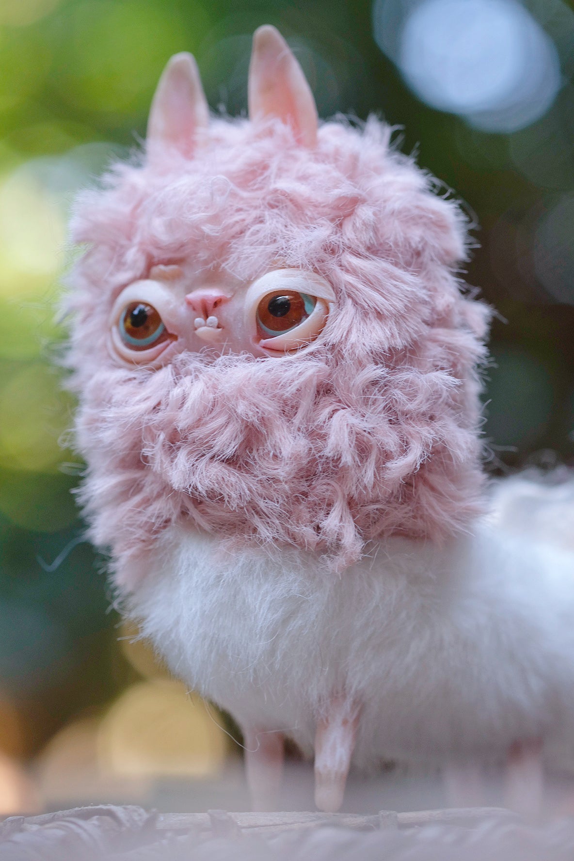 Grumpy Llama
