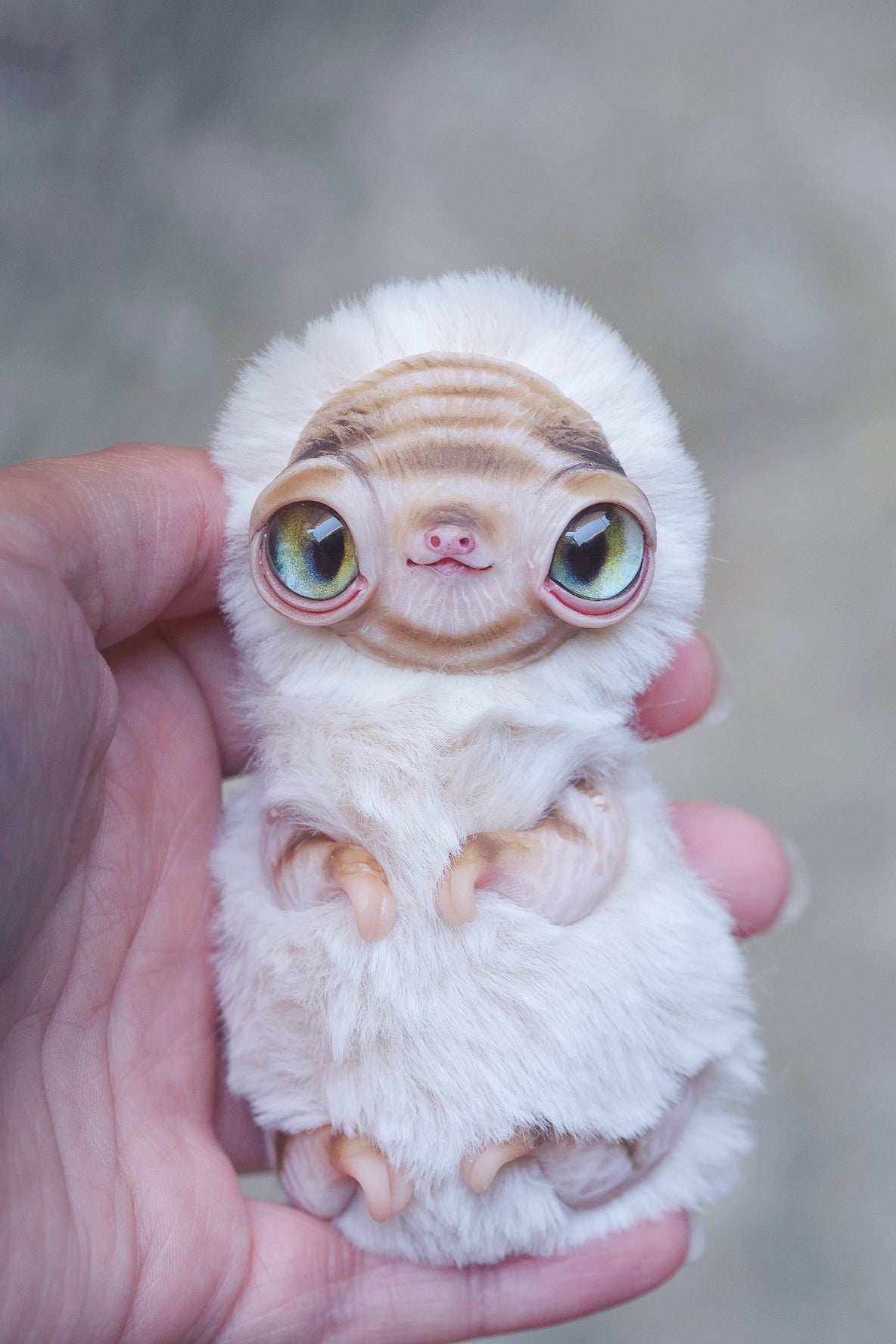 Albino Sloth