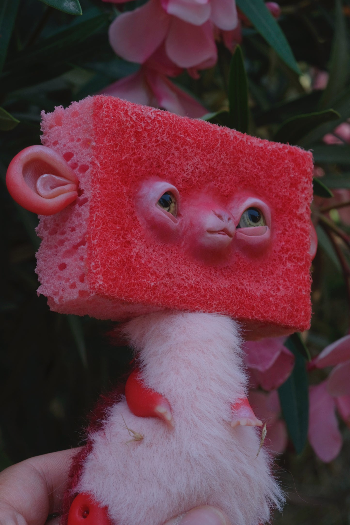Monkey
