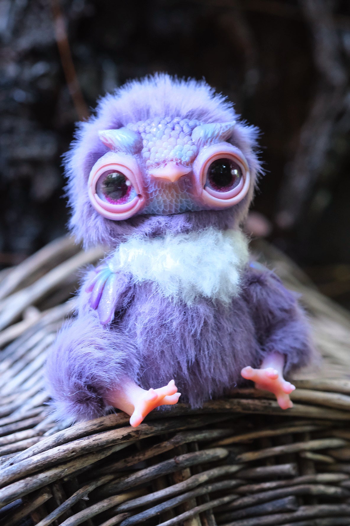 Cute Owl