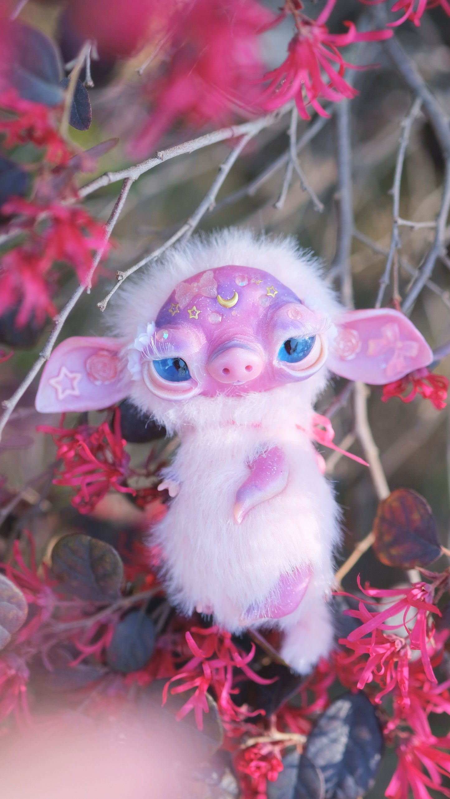 Moon Piggy