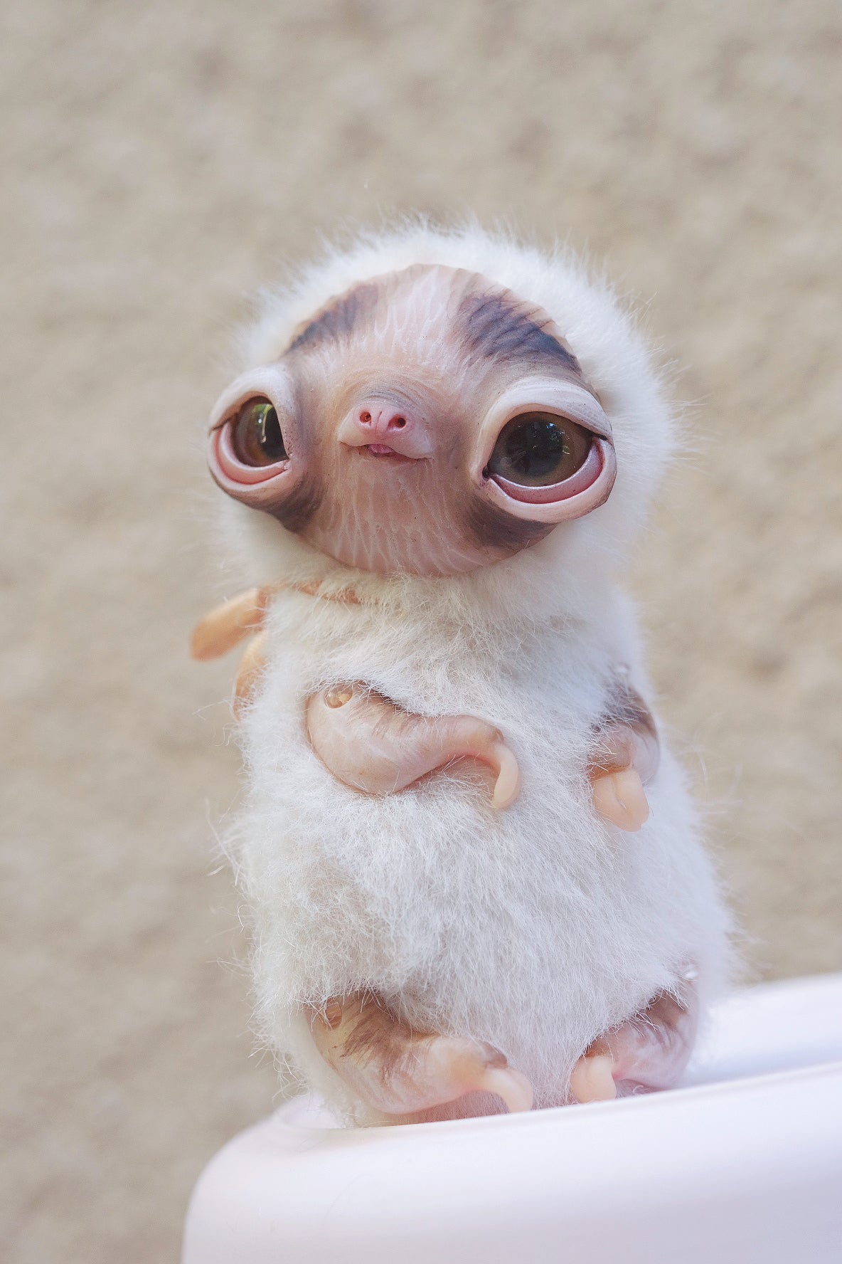 Little Sloth