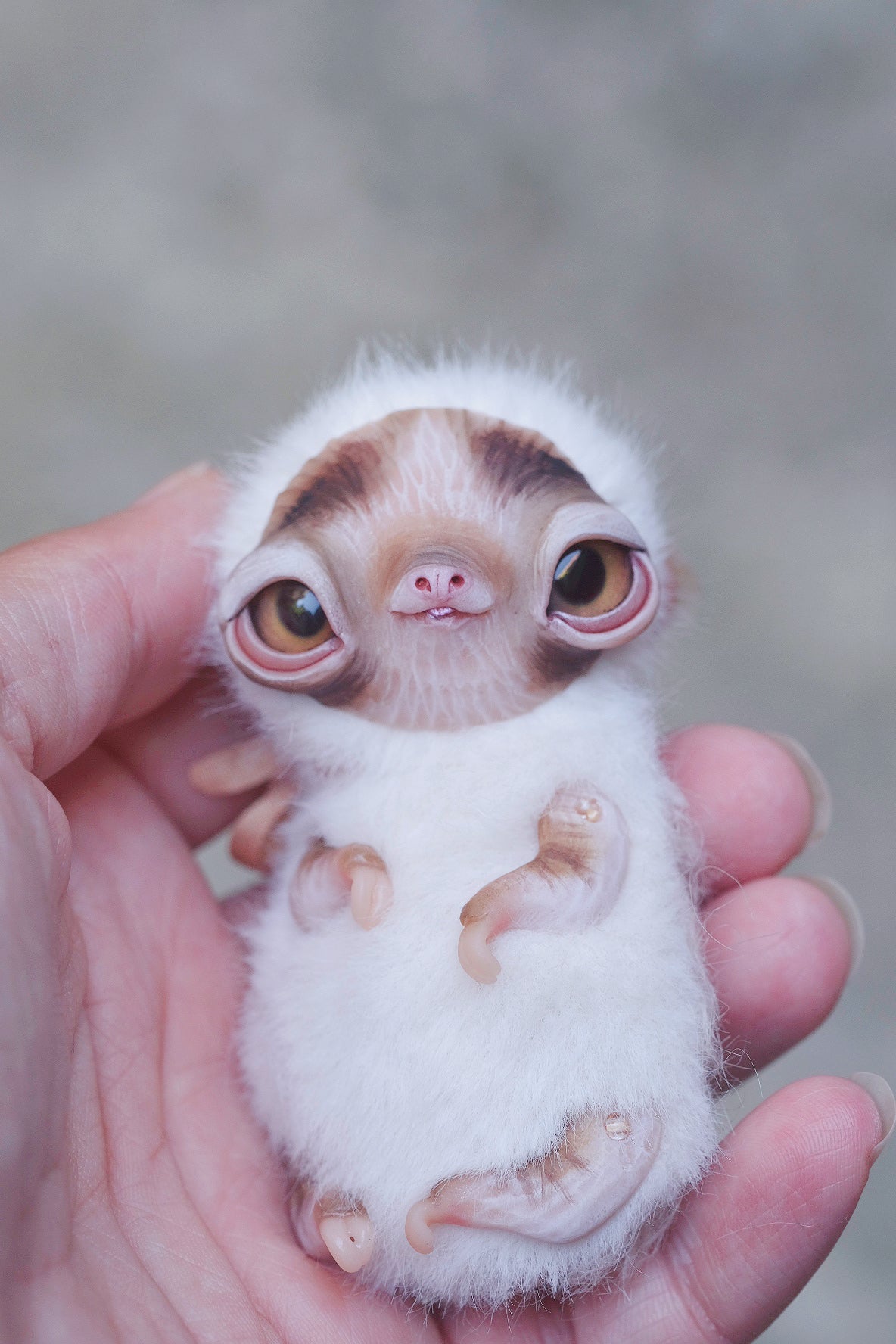 Little Sloth