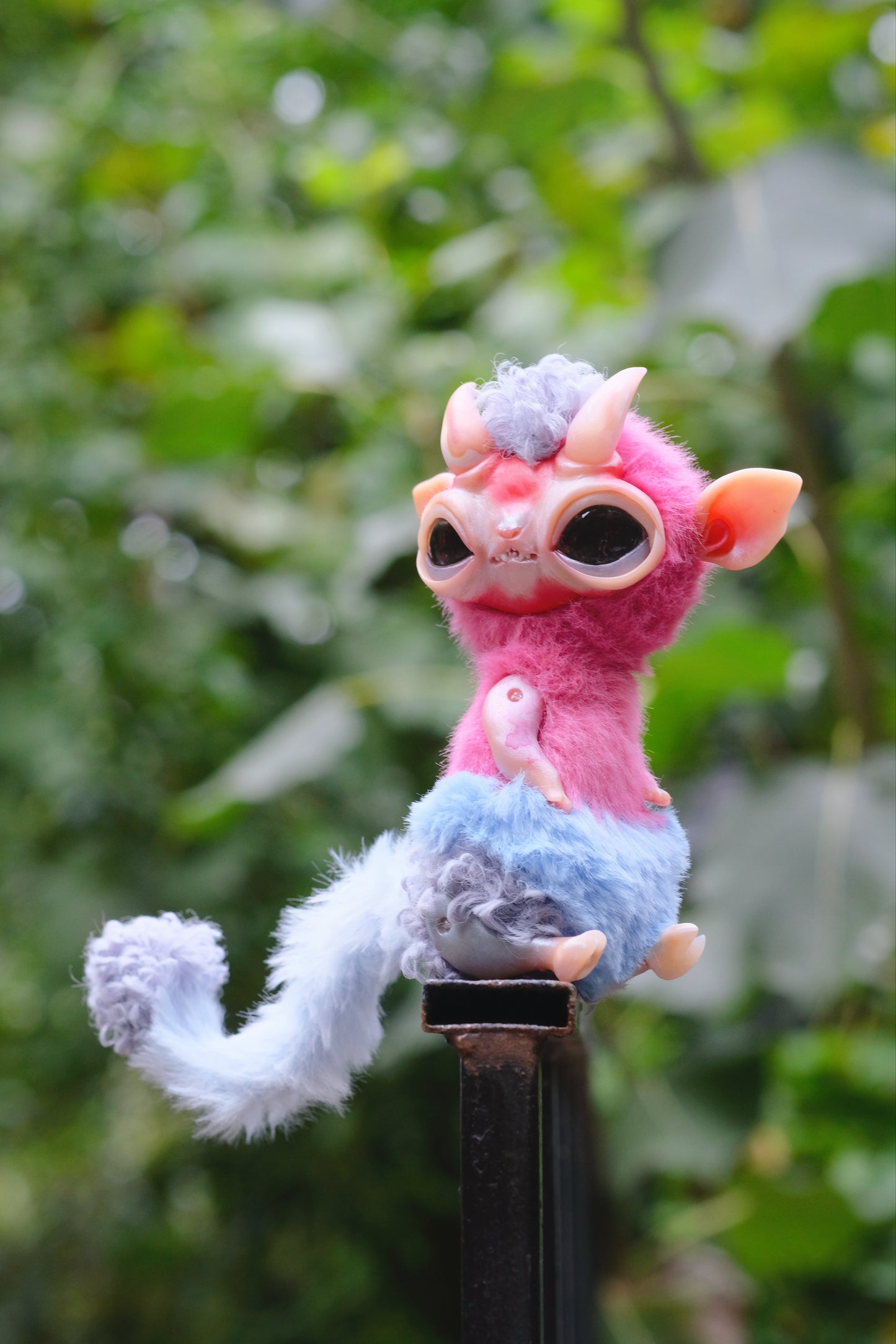 Little Imp