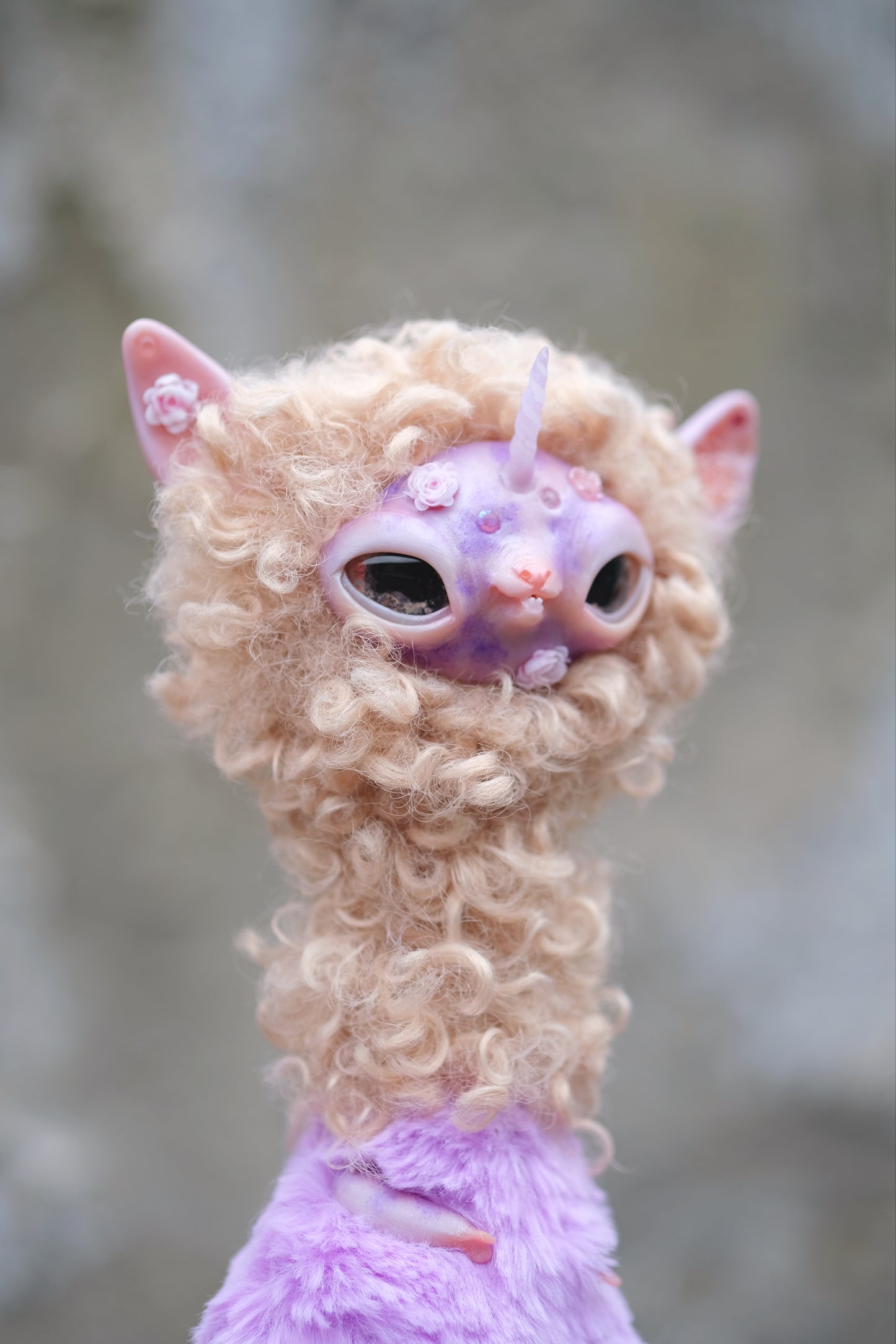 Unicorn llama