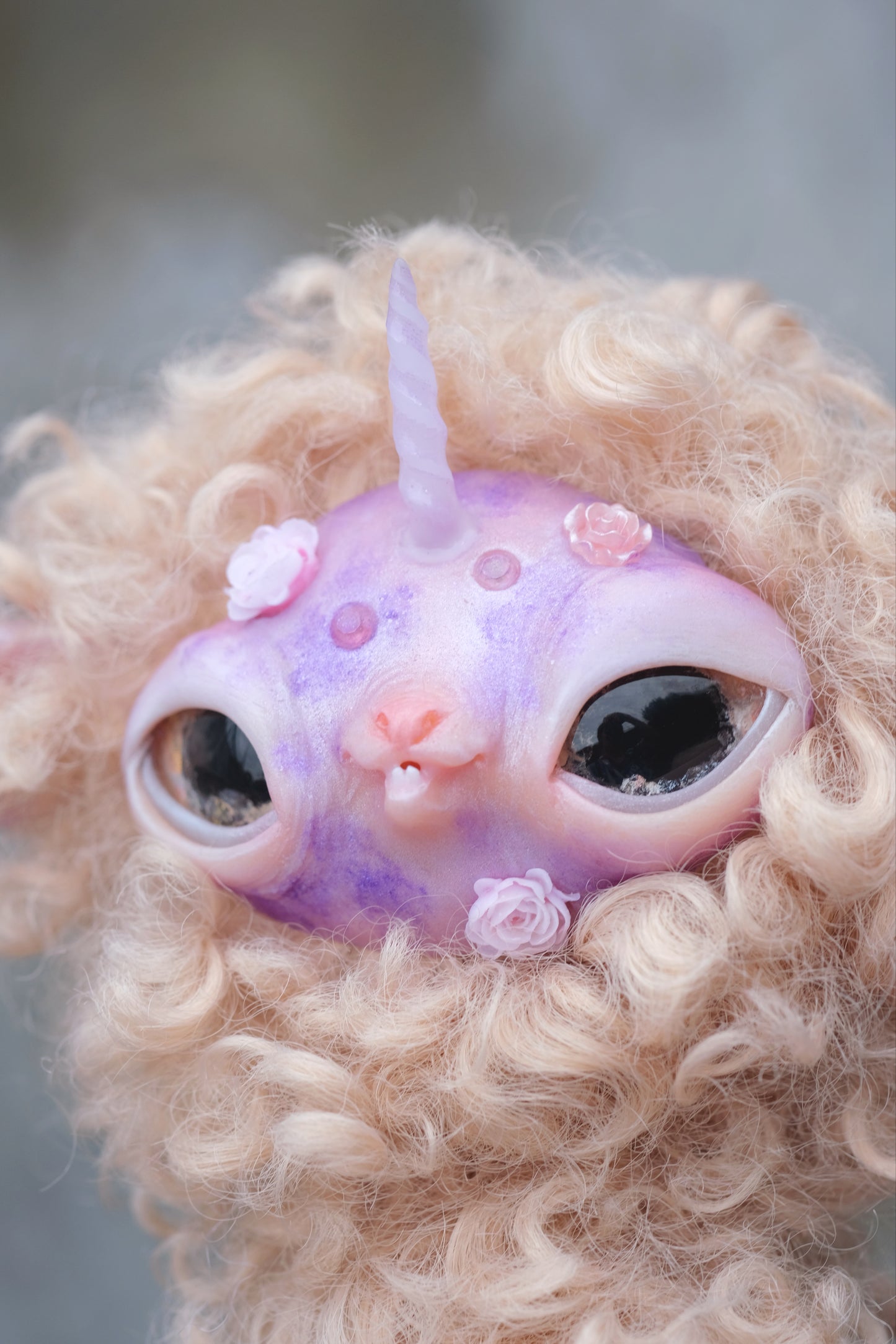 Unicorn llama