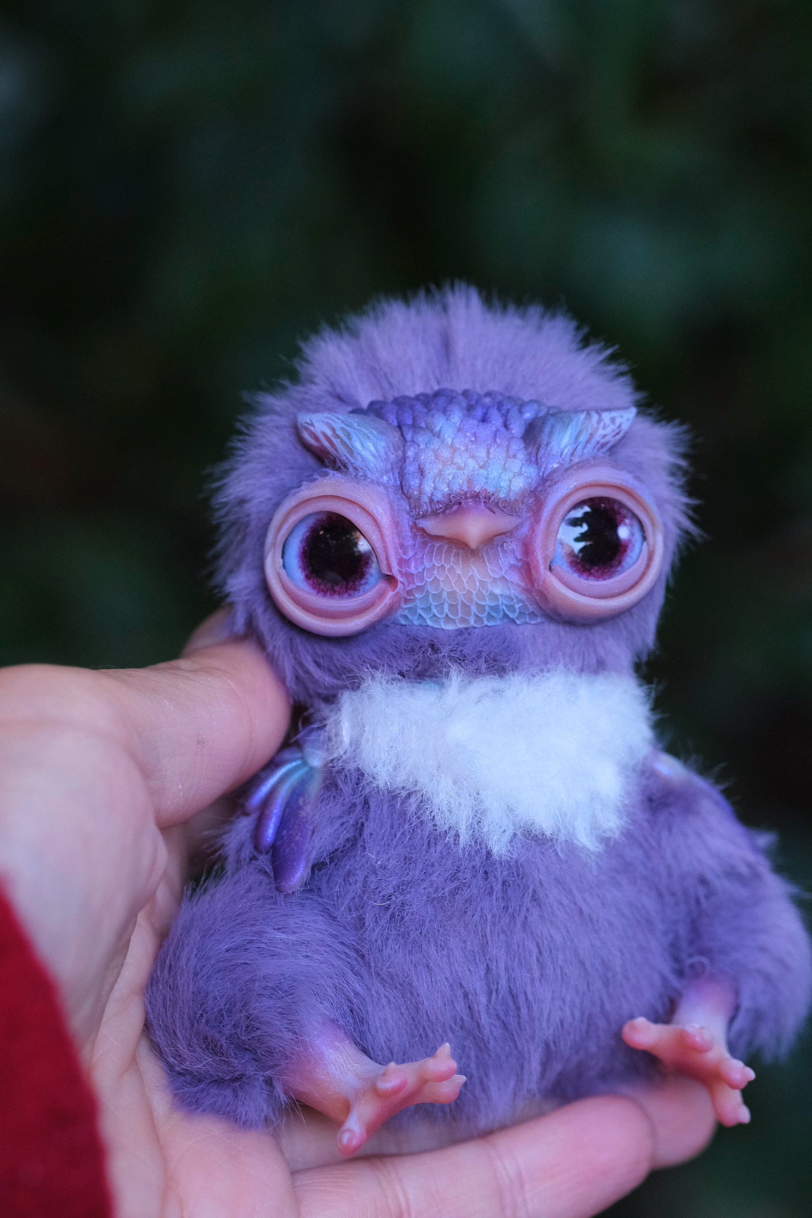 Cute Owl