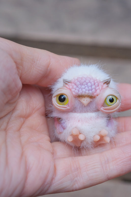 Cute Owlet