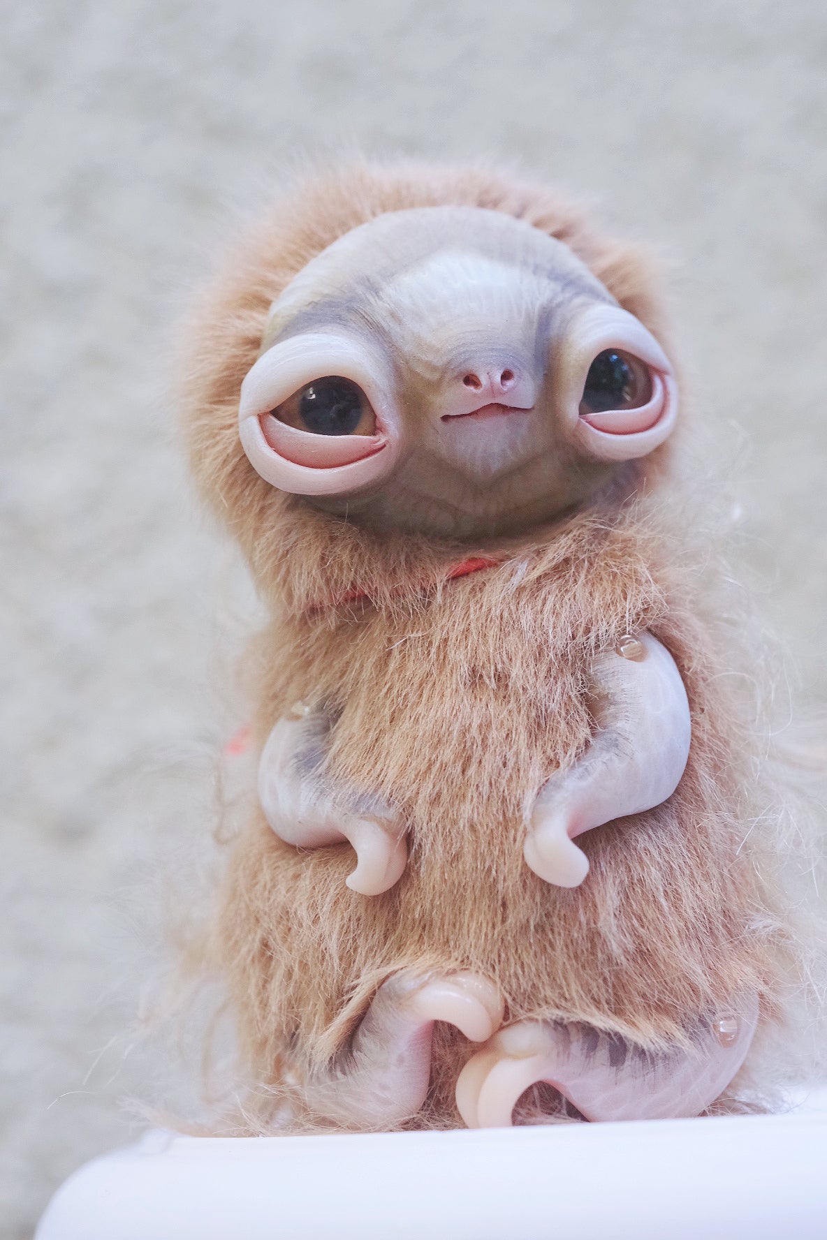 Little Sloth