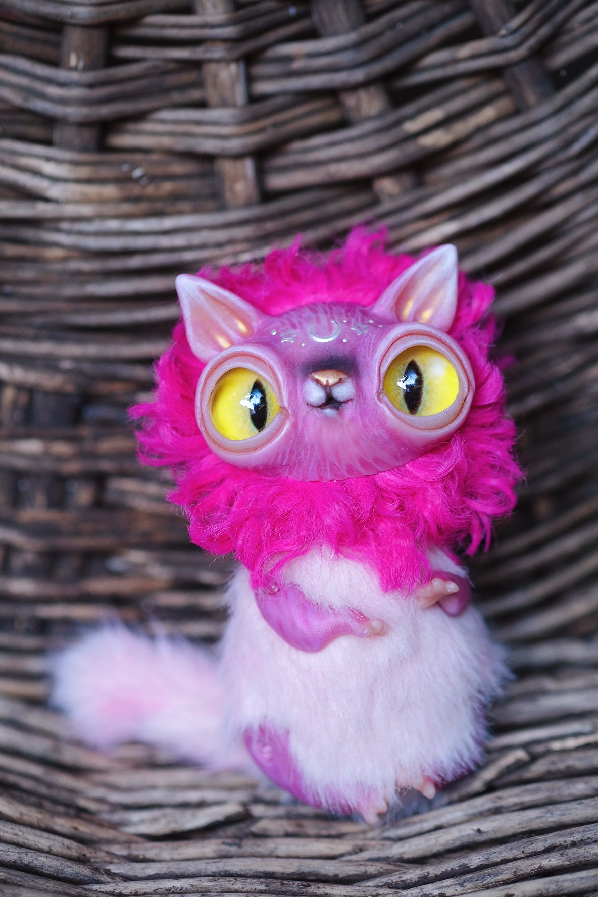 Magenta Crescent Cat