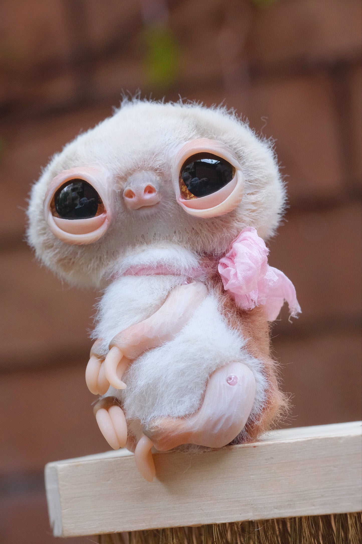Cute Sloth