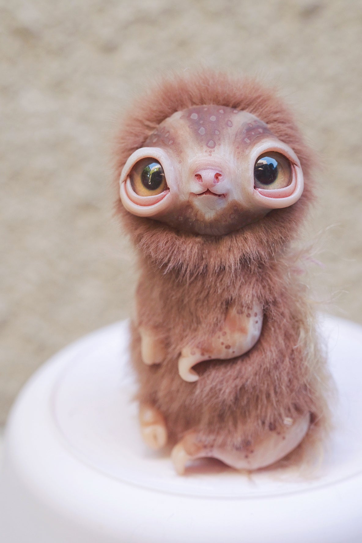 Little Sloth