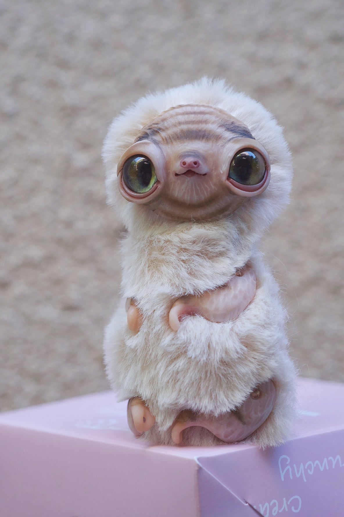 Albino Sloth