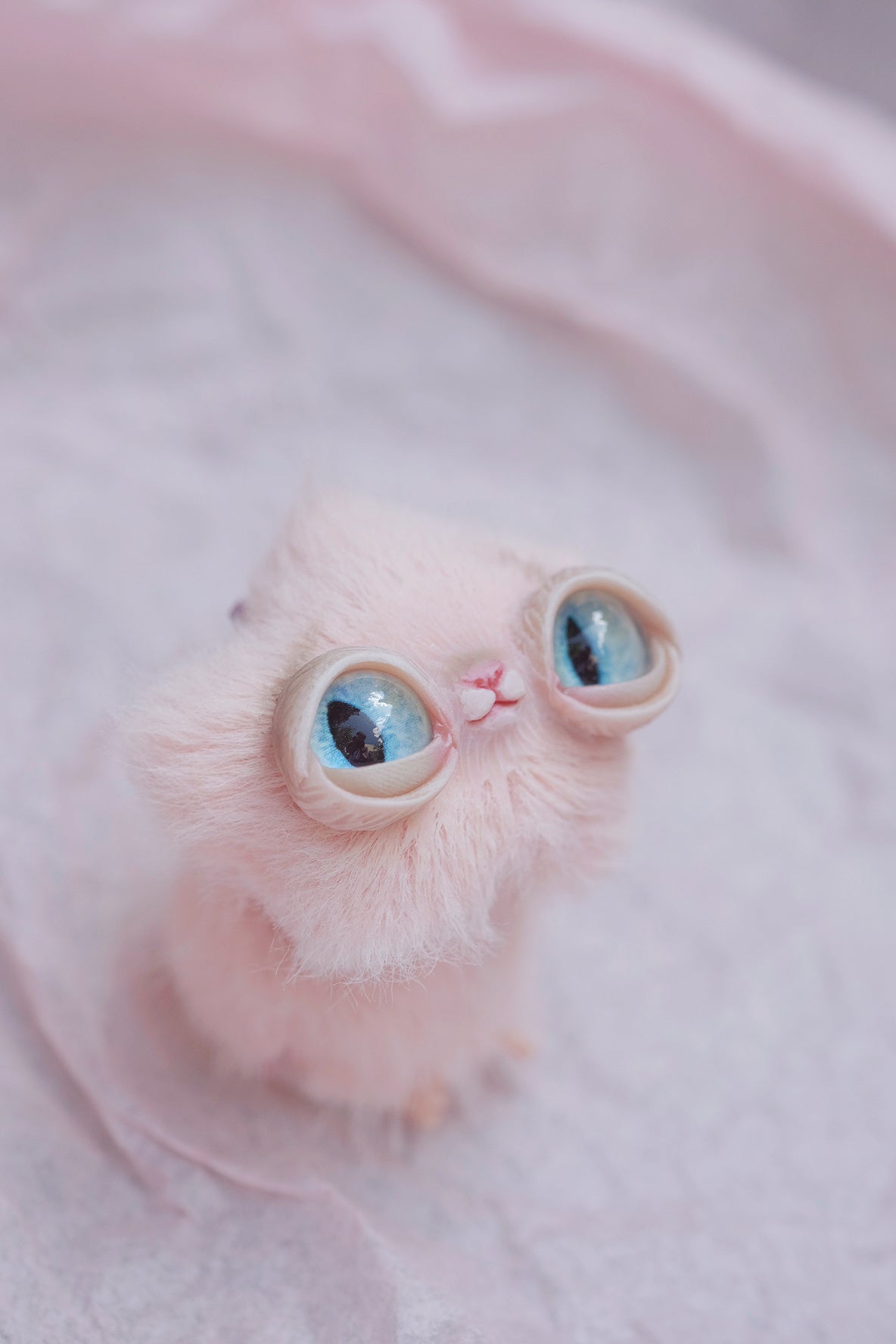 Star Kitty