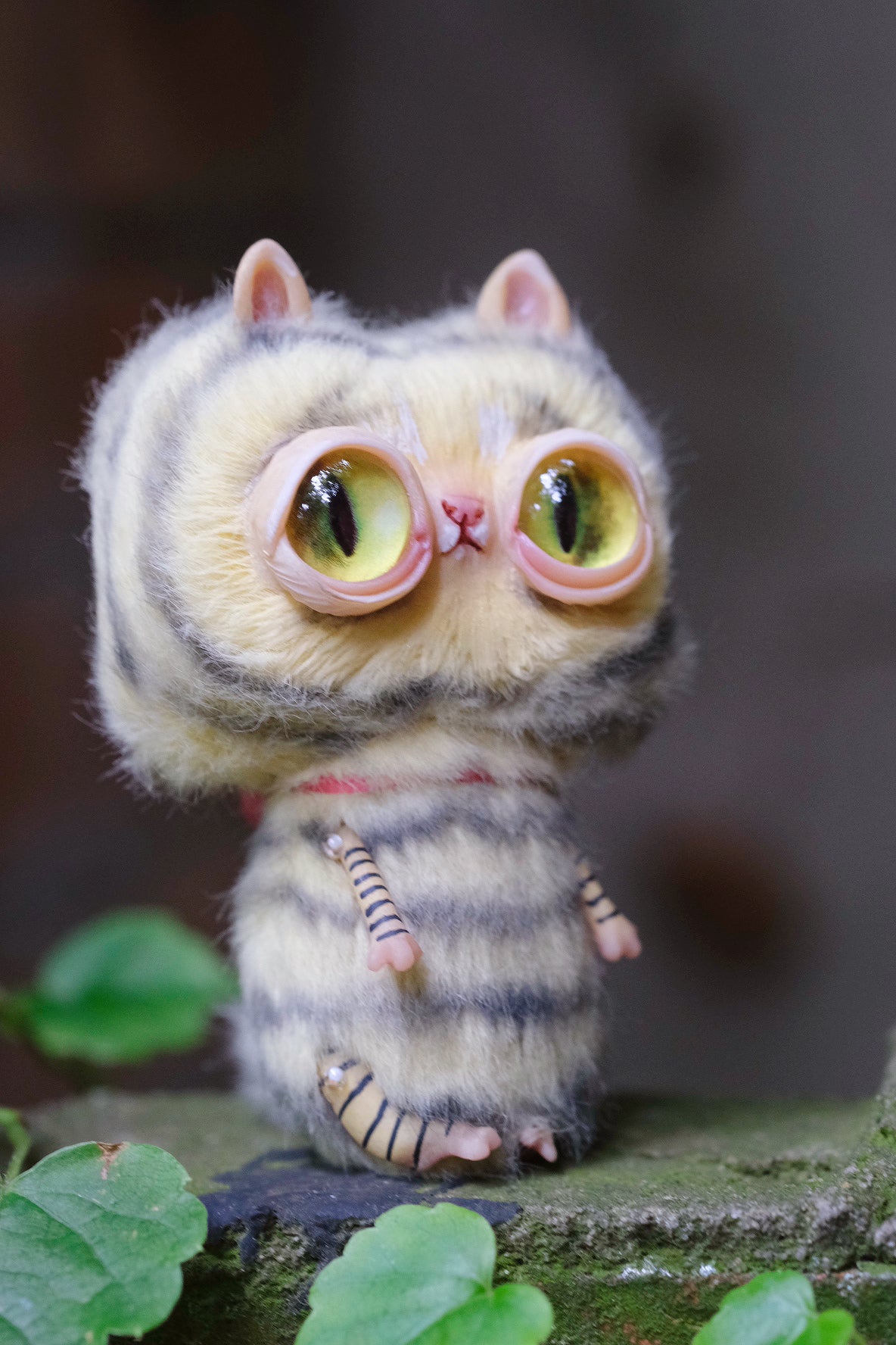 Anti-Pretty Cat