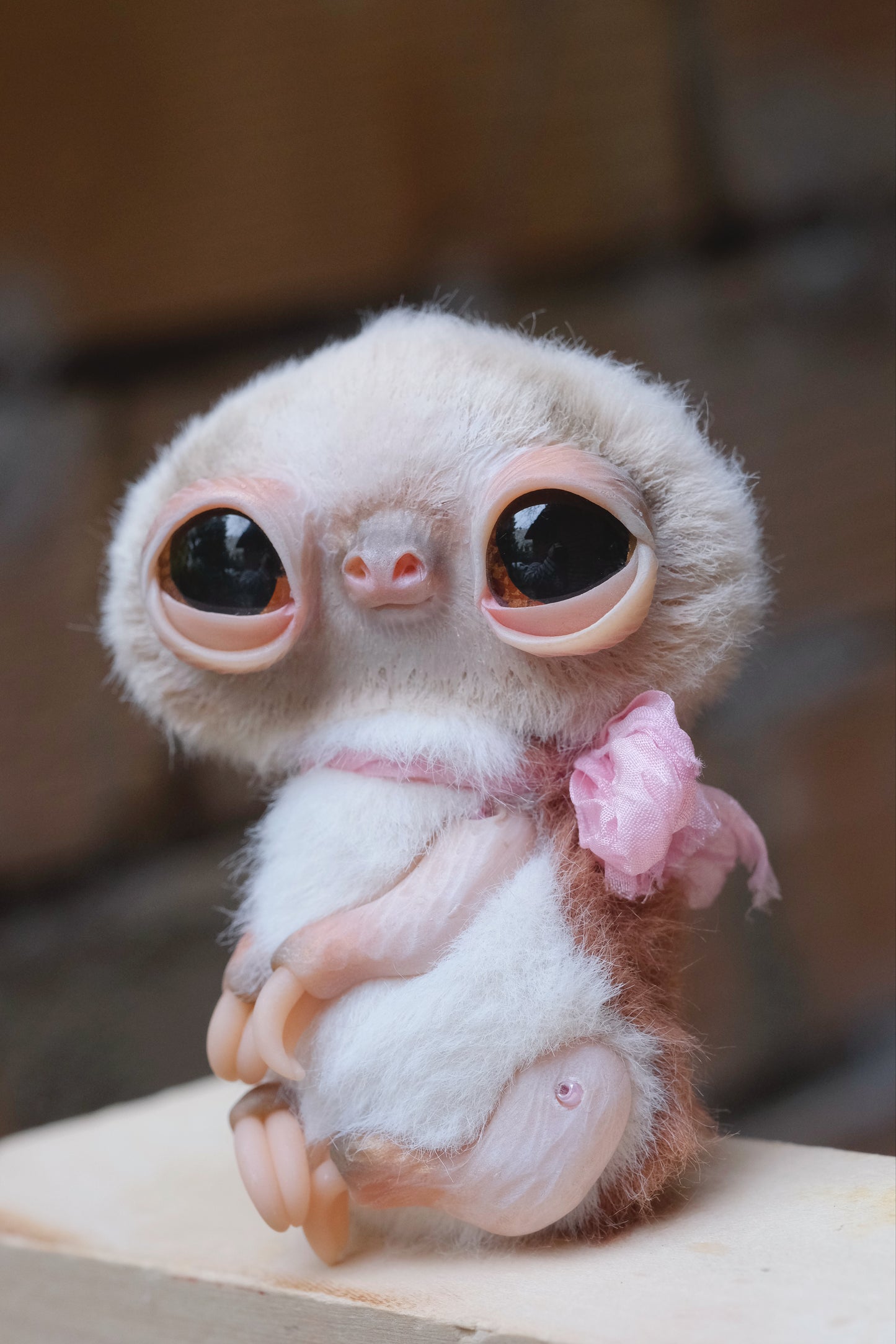 Cute Sloth