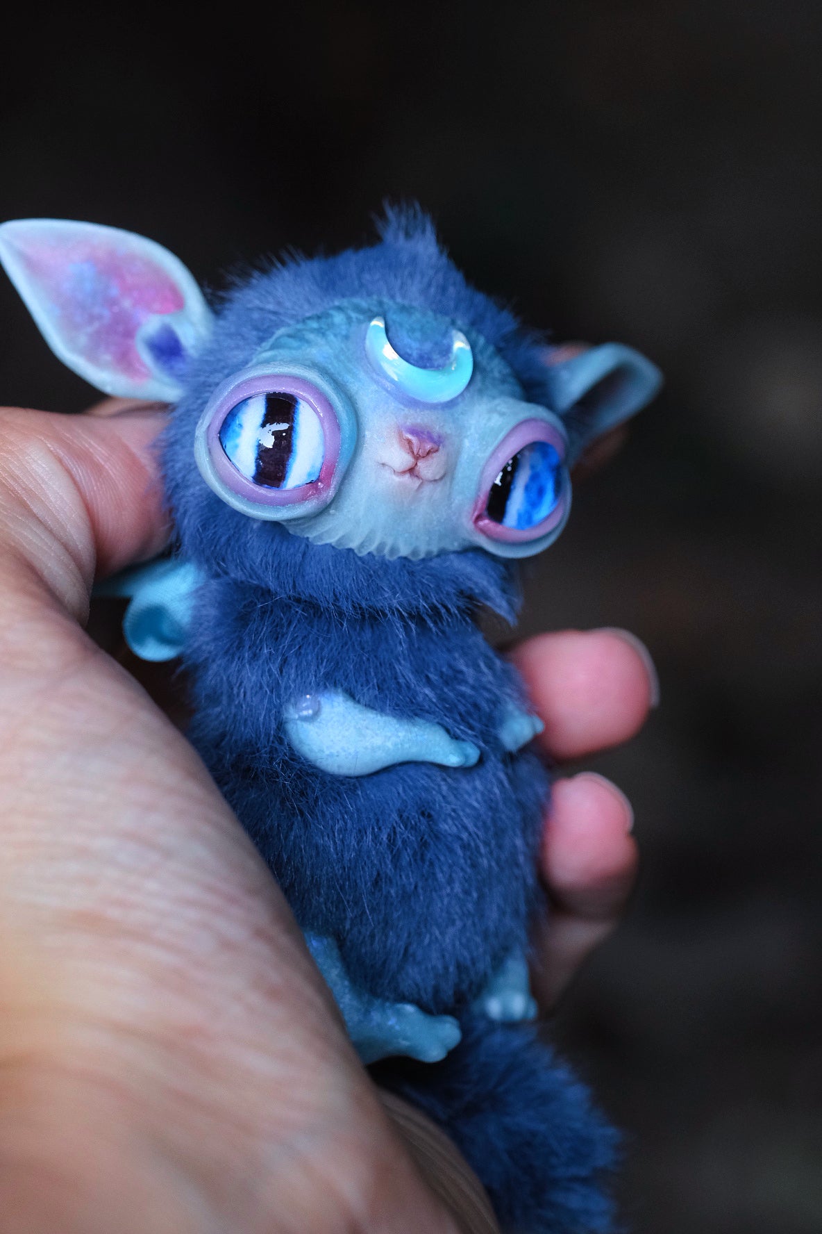 Crescent Kitty Nightwish