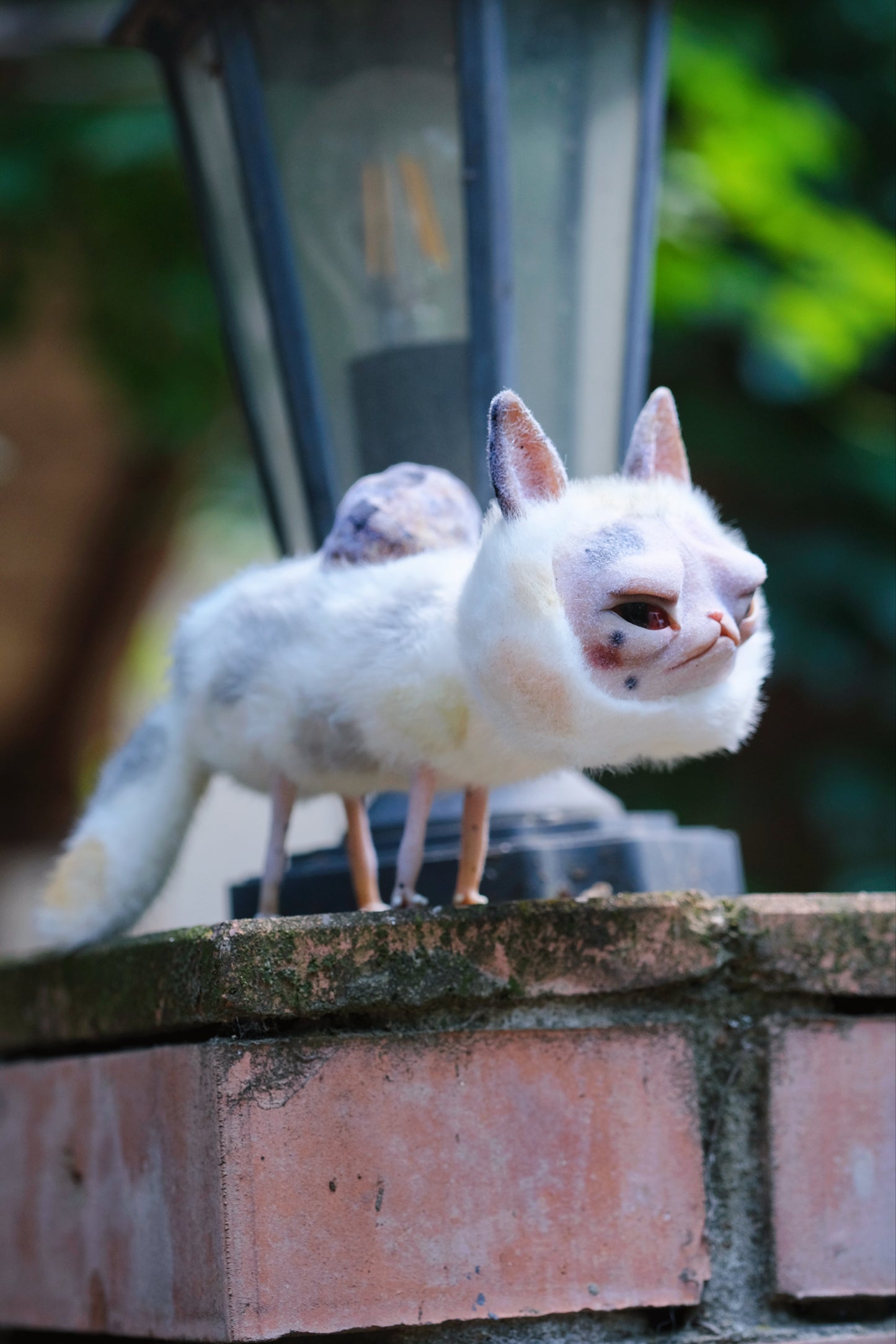 Grumpy Kitty Snail