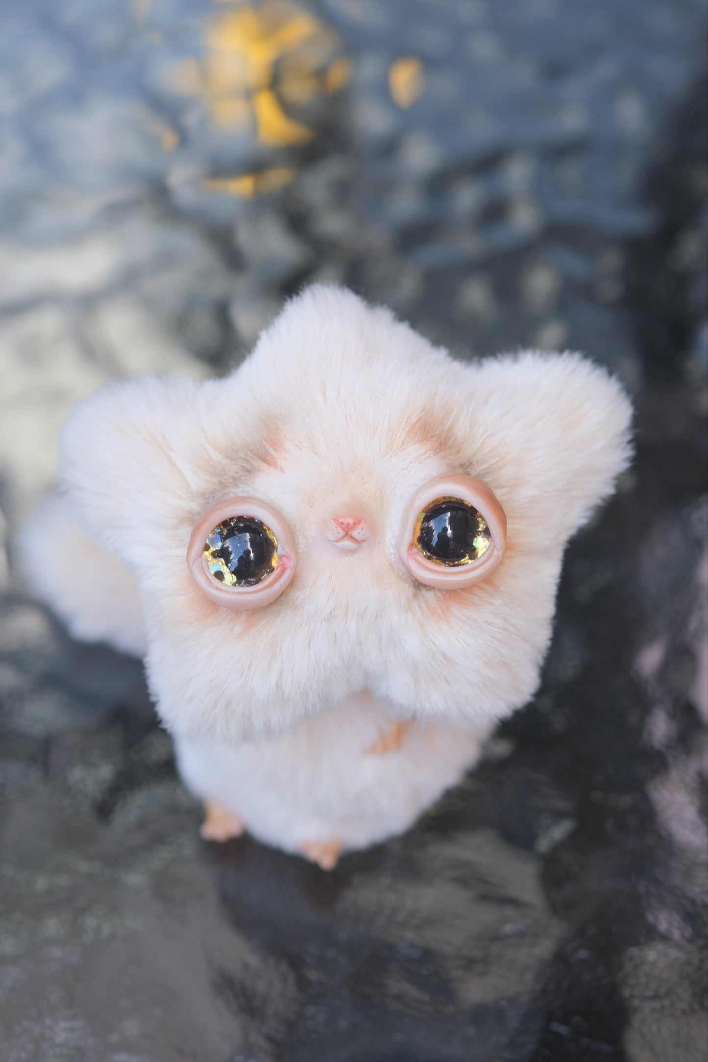 Last one! Made on request: Star Kitty