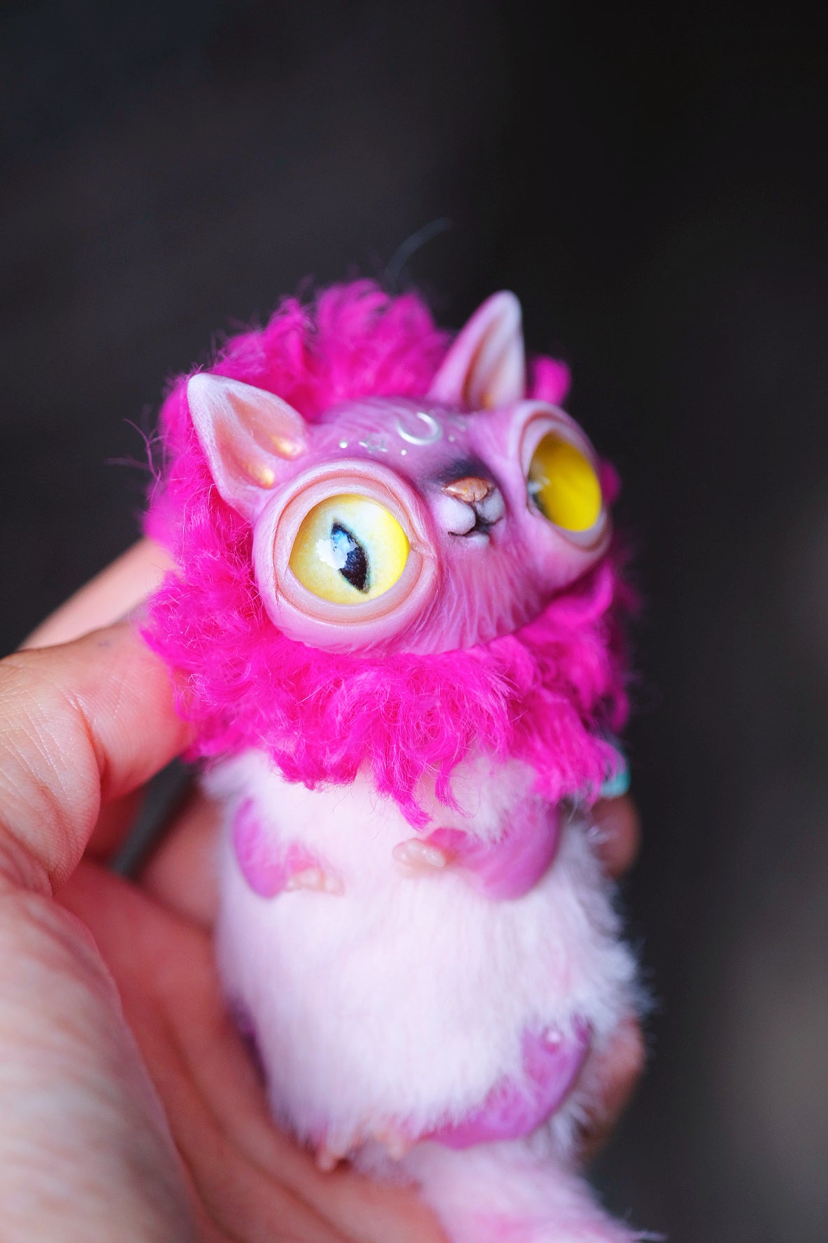 Magenta Crescent Cat