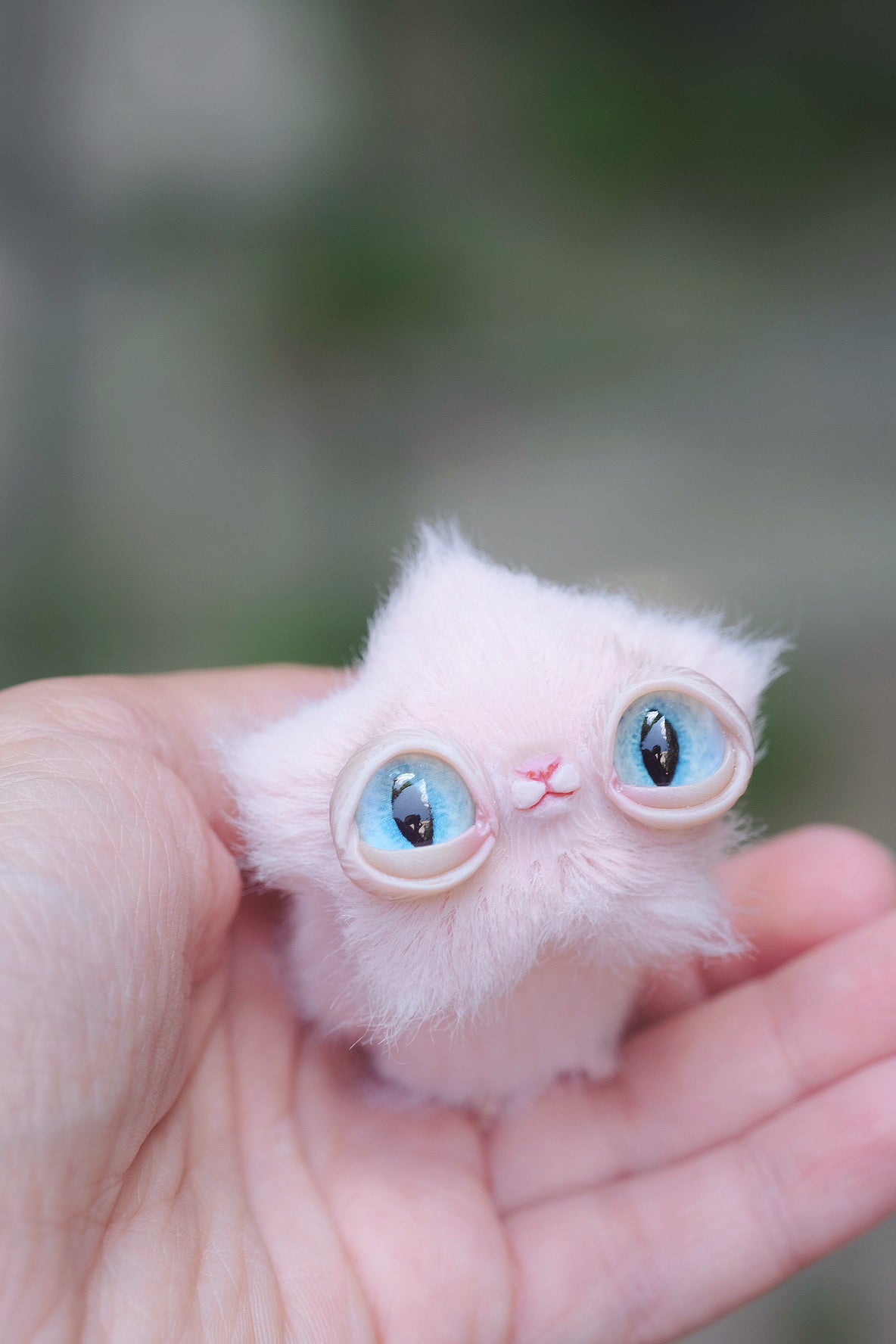 Star Kitty