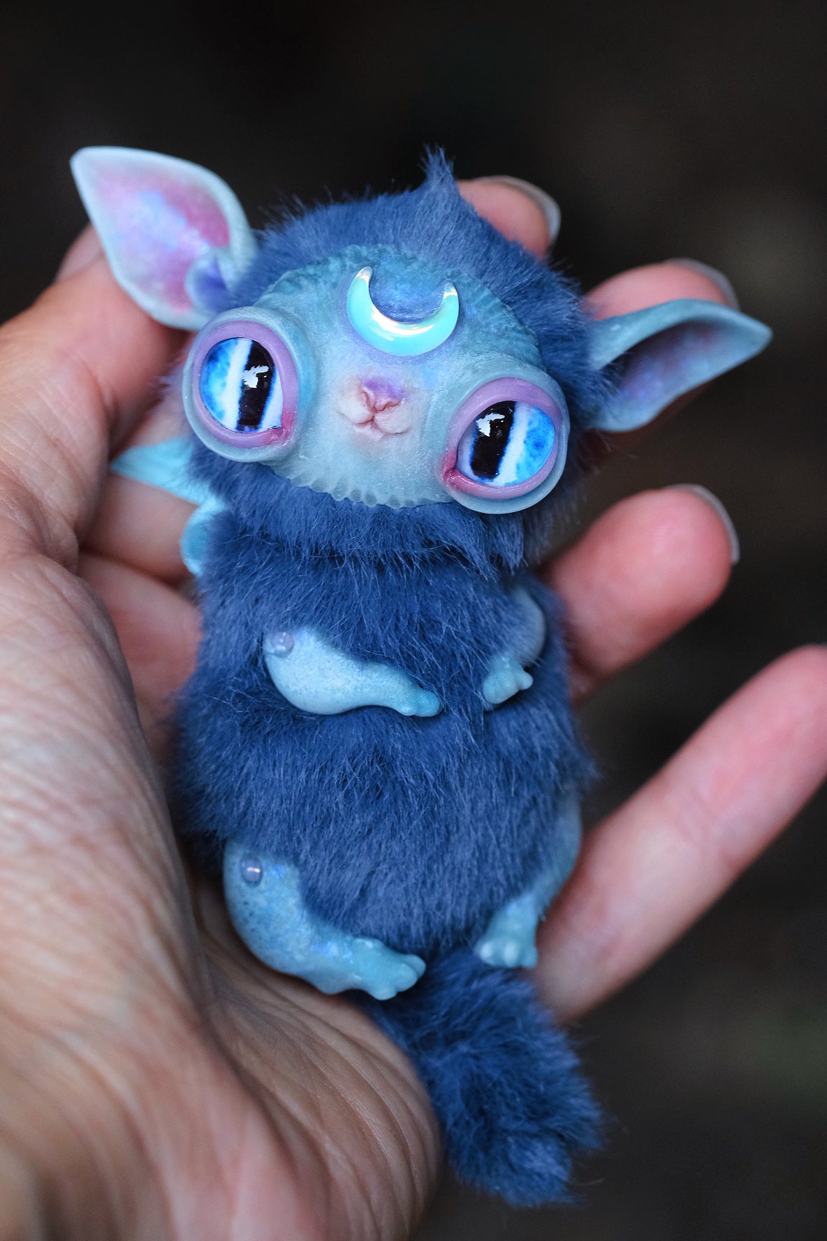 Crescent Kitty Nightwish