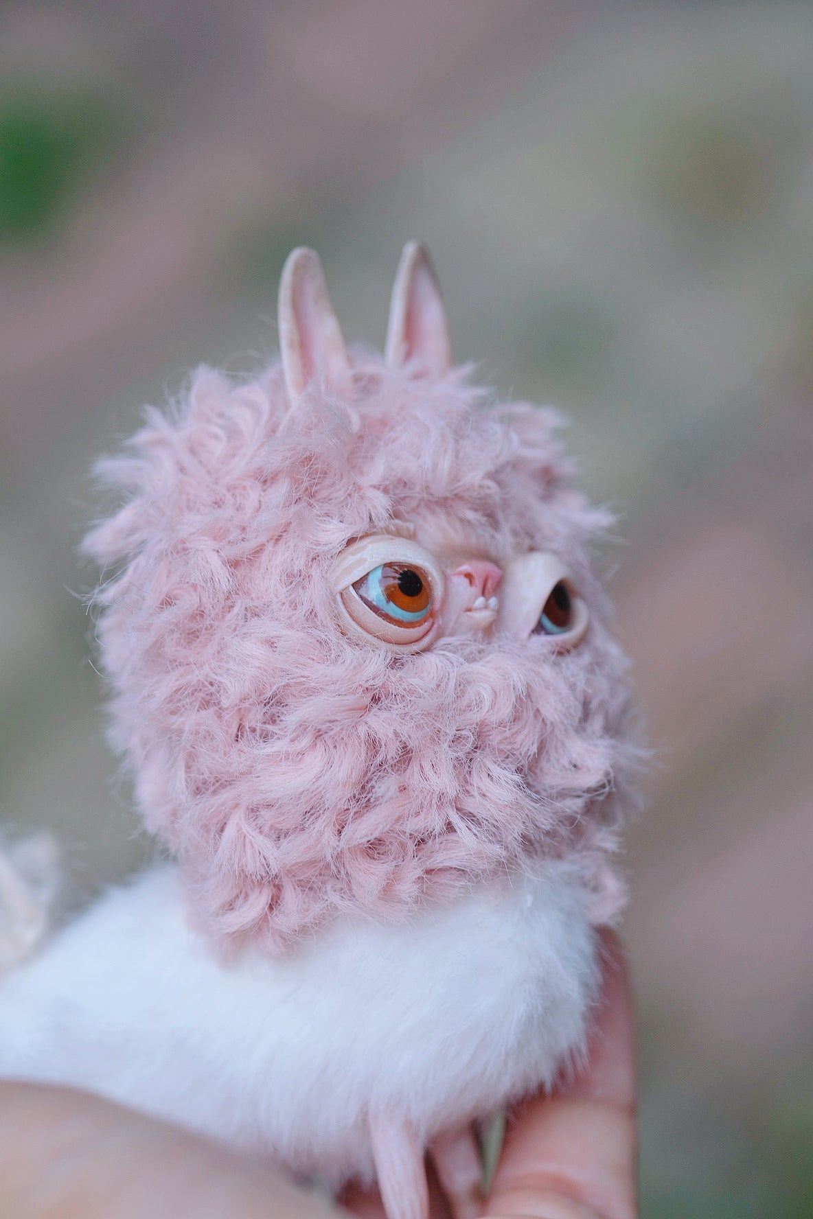 Grumpy Llama