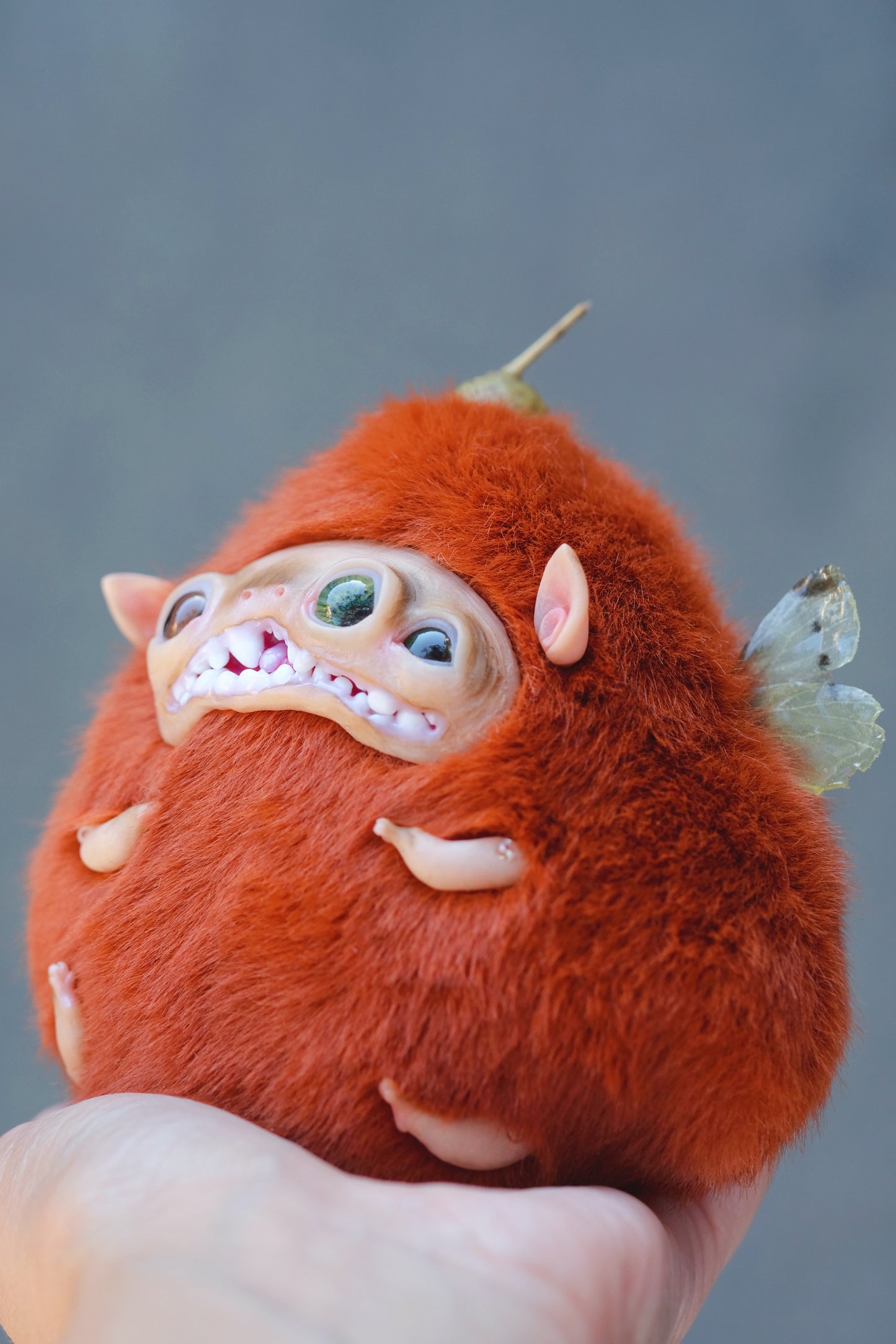 Acorn Troll