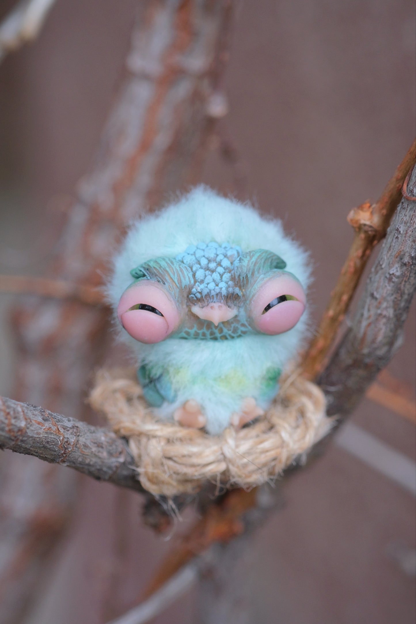 Emerald Owlet