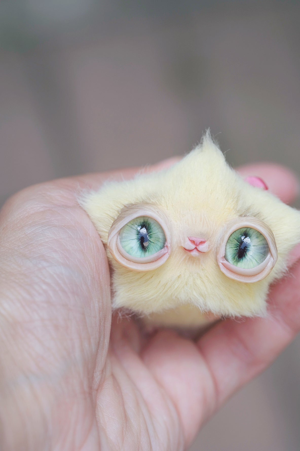 Star Kitty