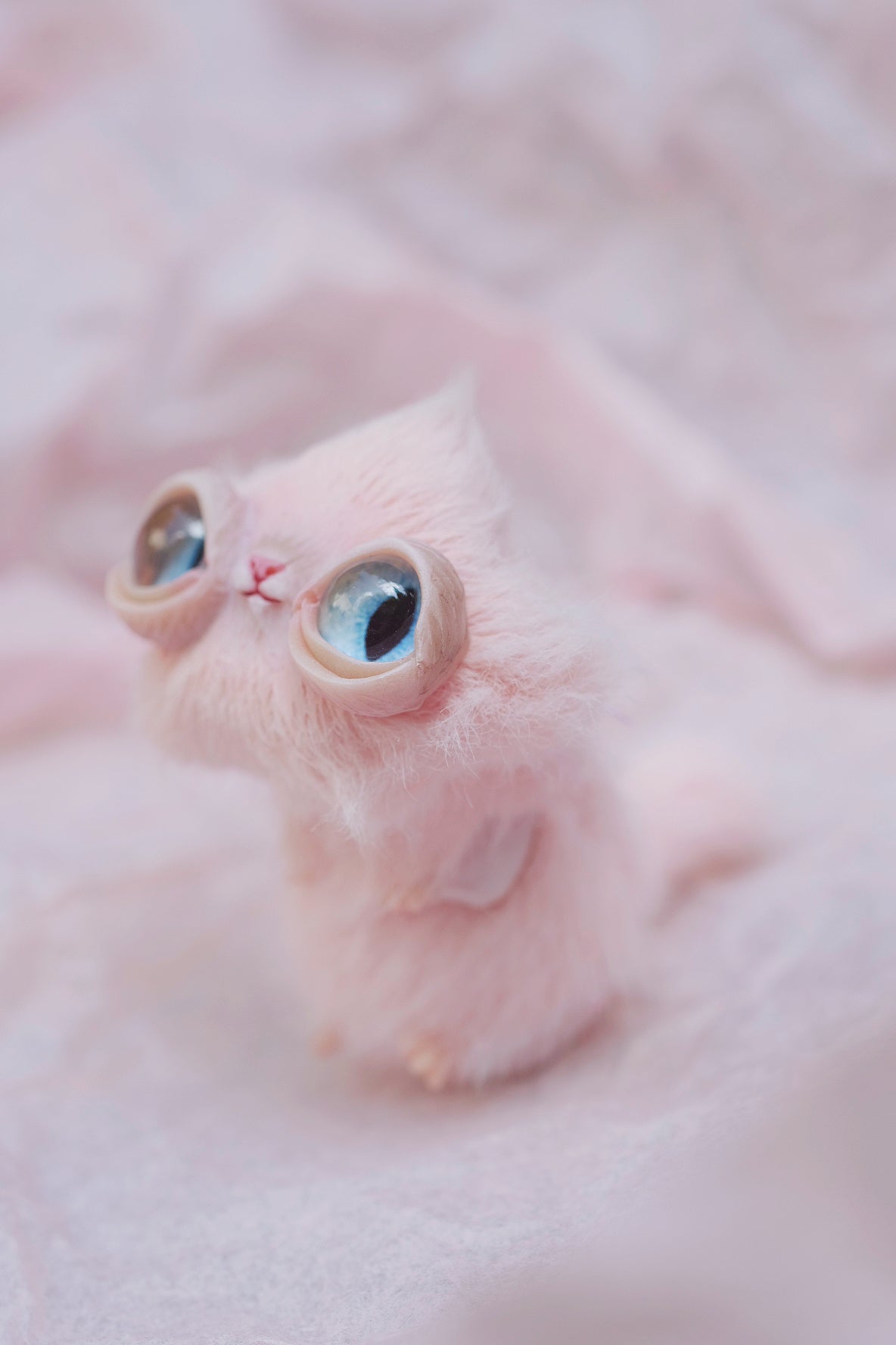 Star Kitty