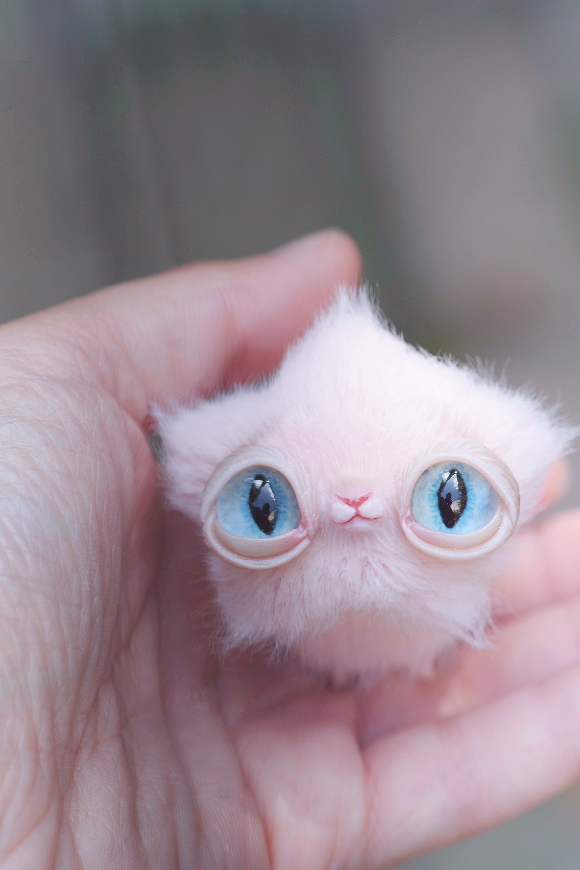 Star Kitty