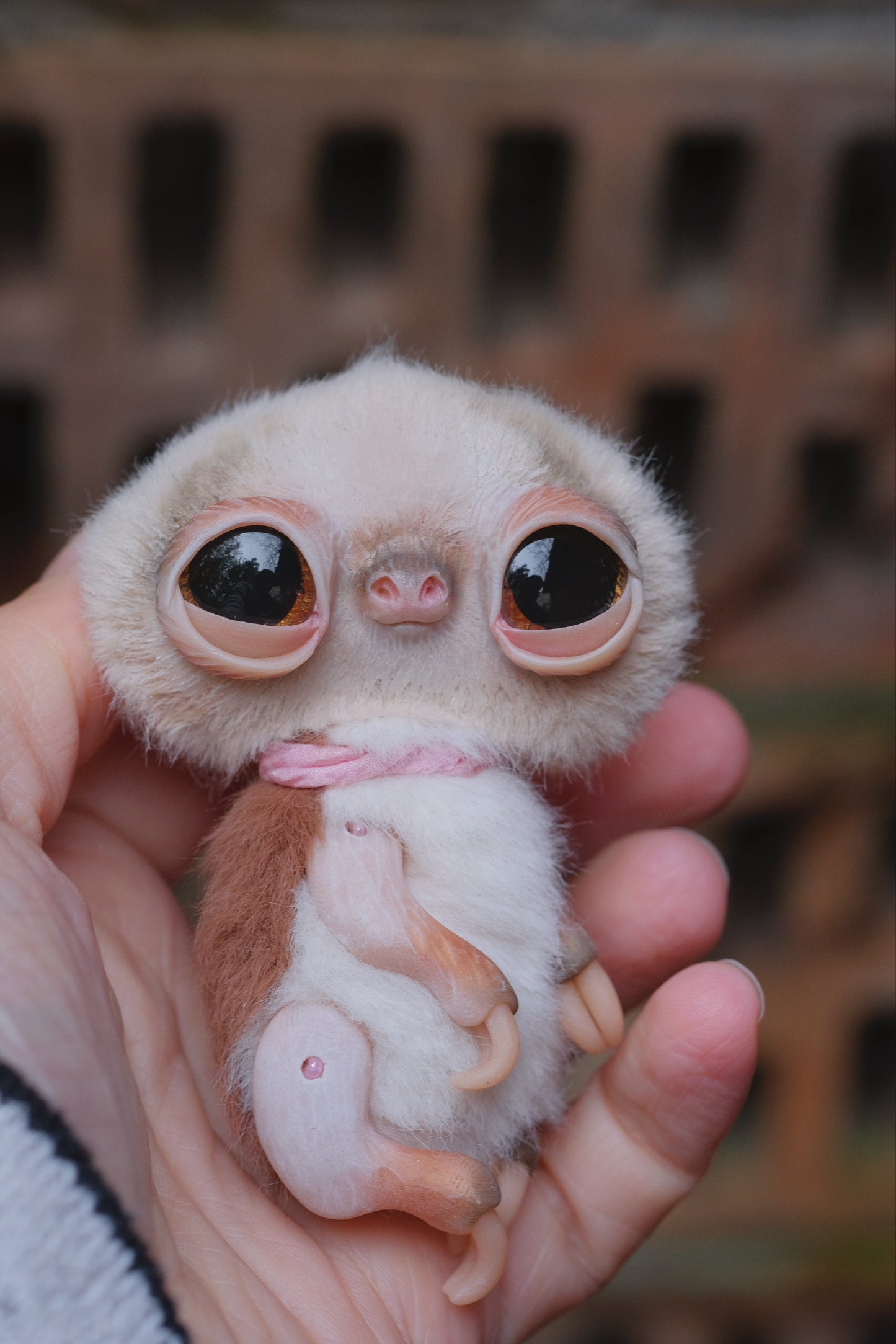 Cute Sloth