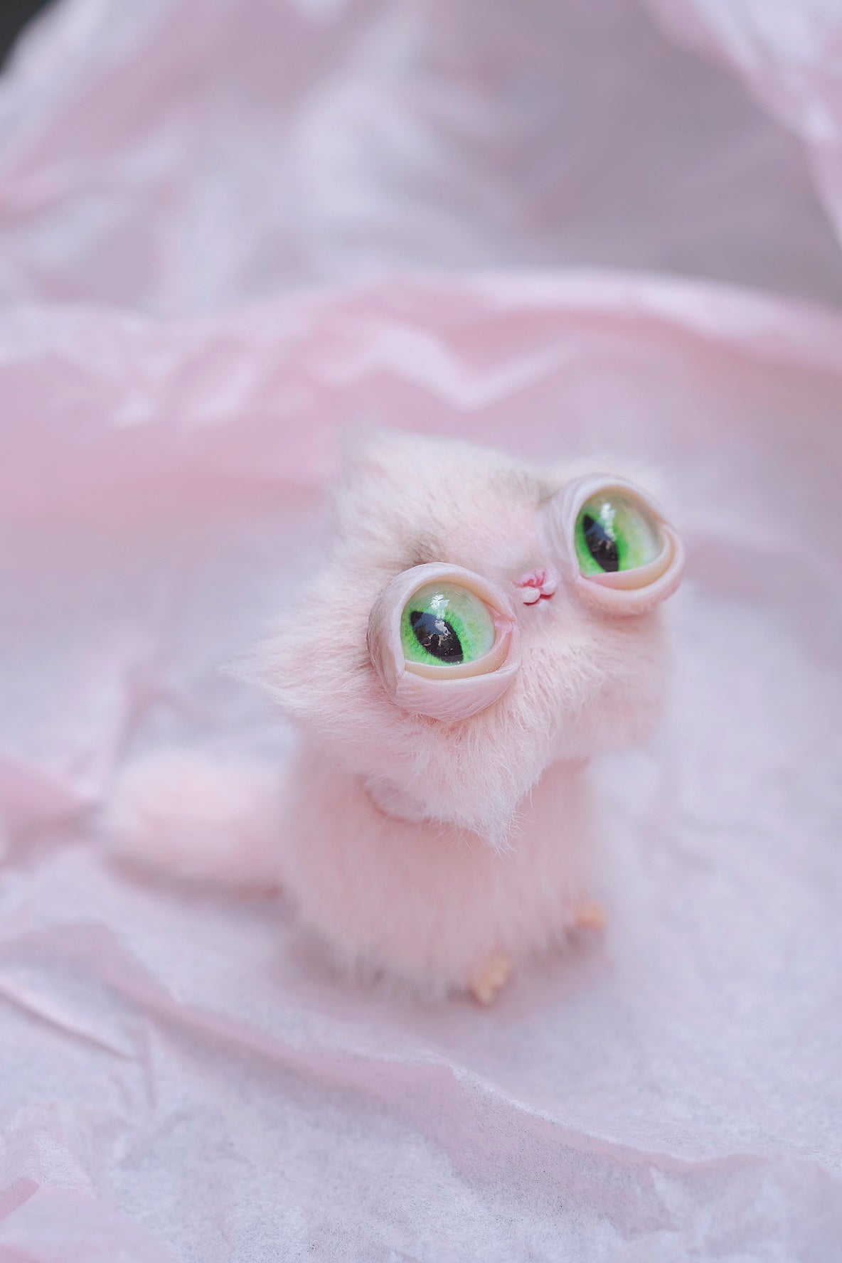 Star Kitty