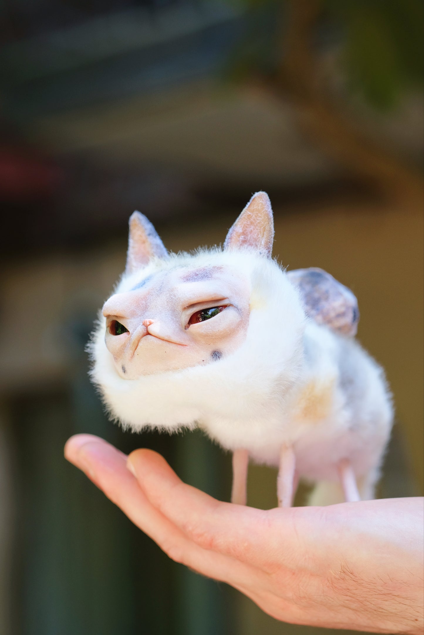 Grumpy Kitty Snail