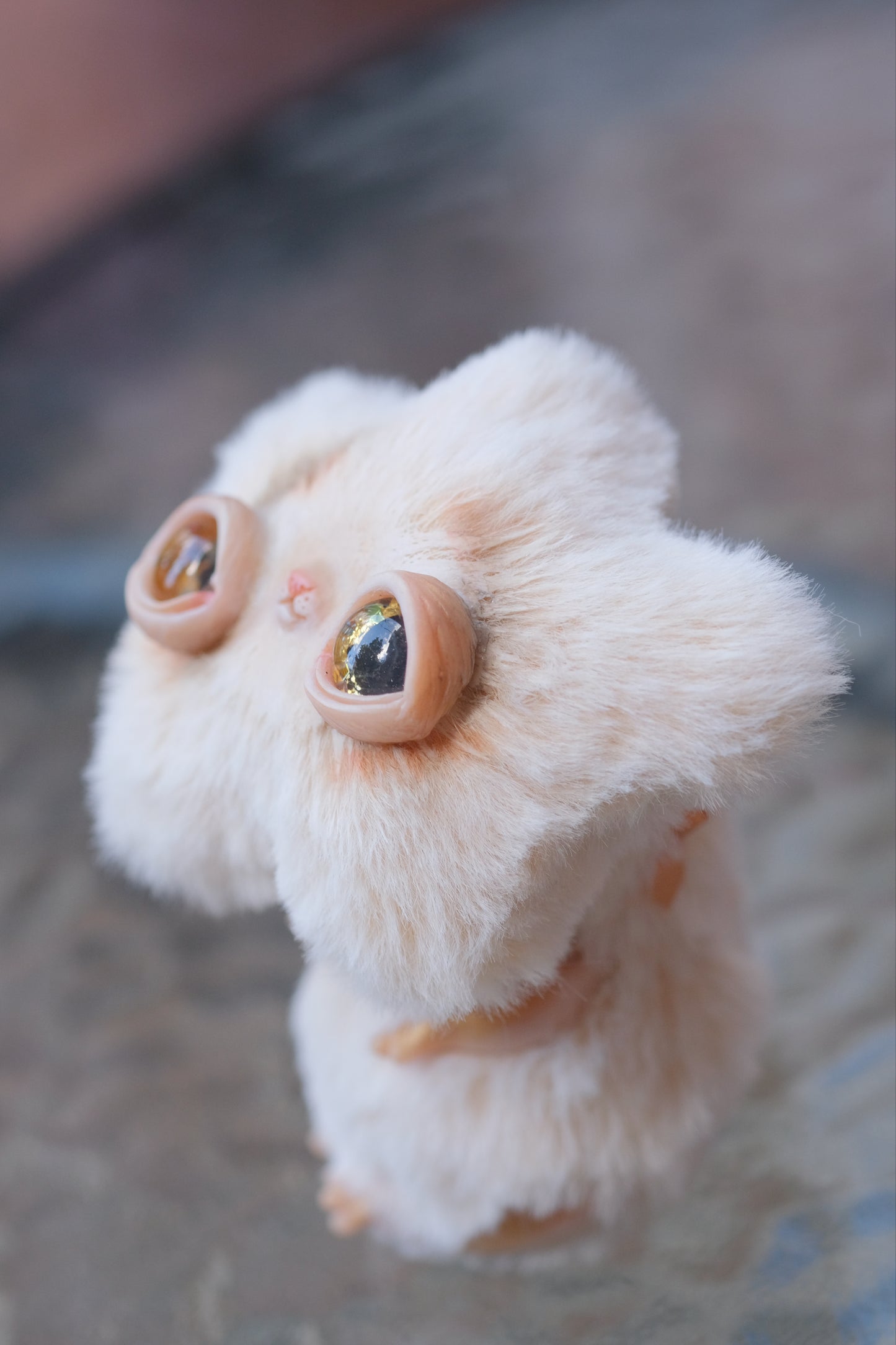 Last one! Made on request: Star Kitty