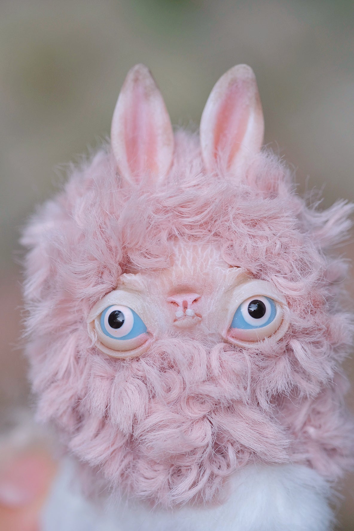Grumpy Llama