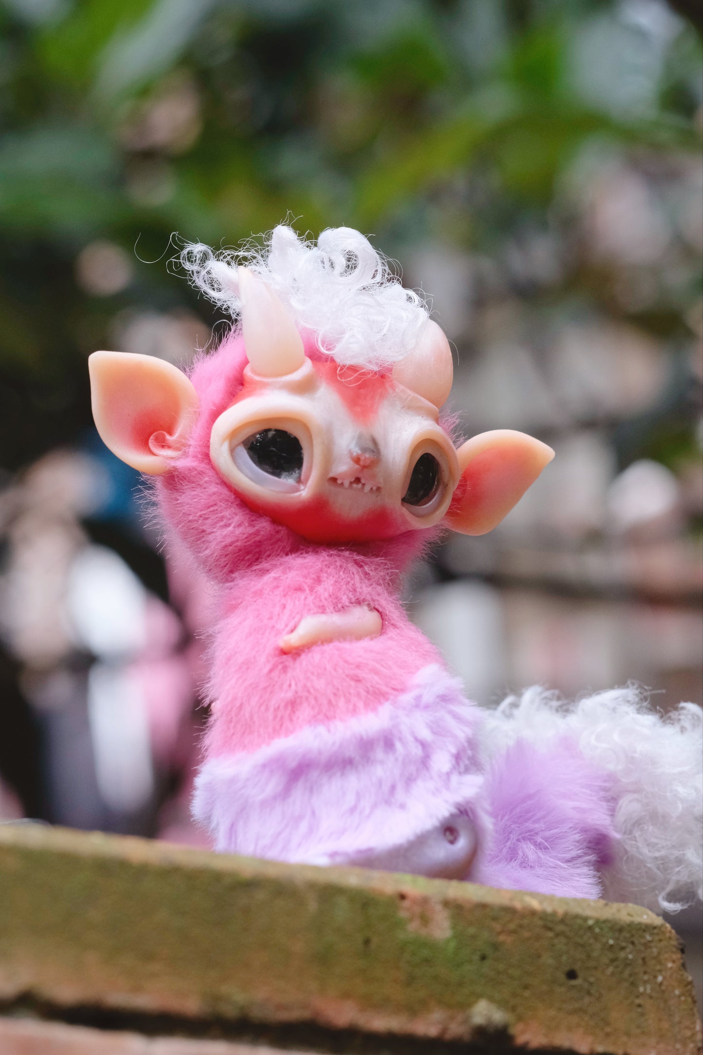 Little Imp