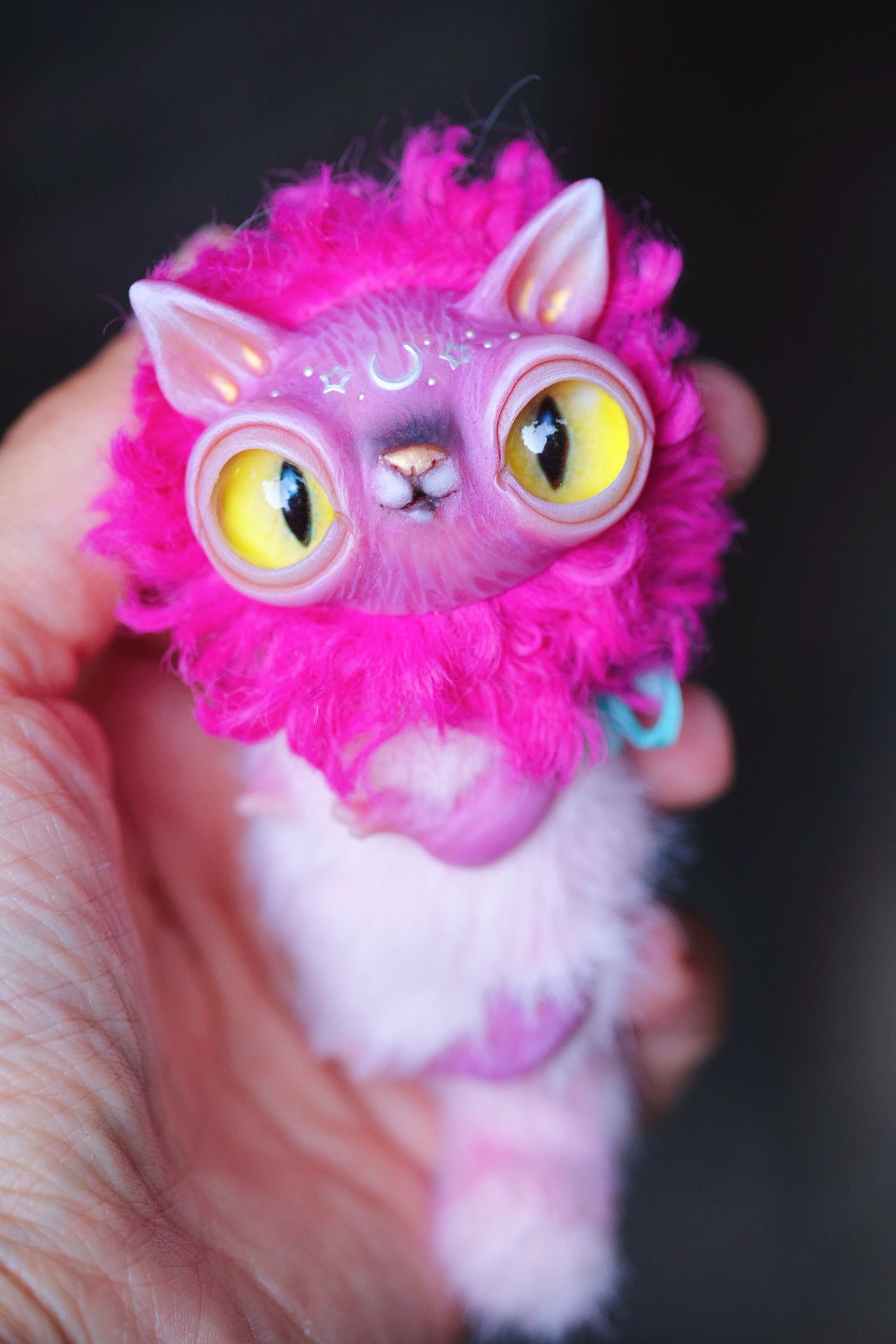 Magenta Crescent Cat