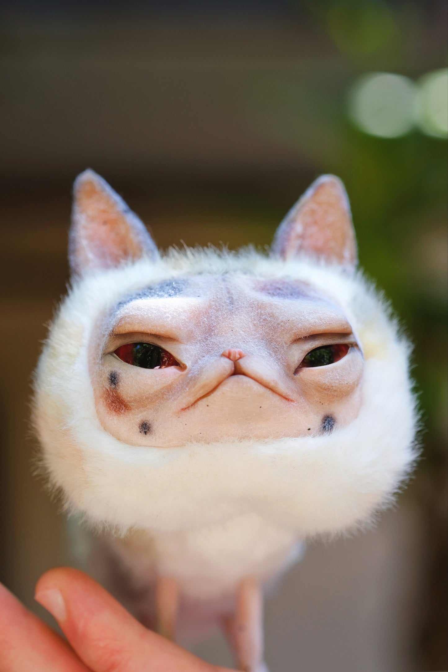Grumpy Kitty Snail