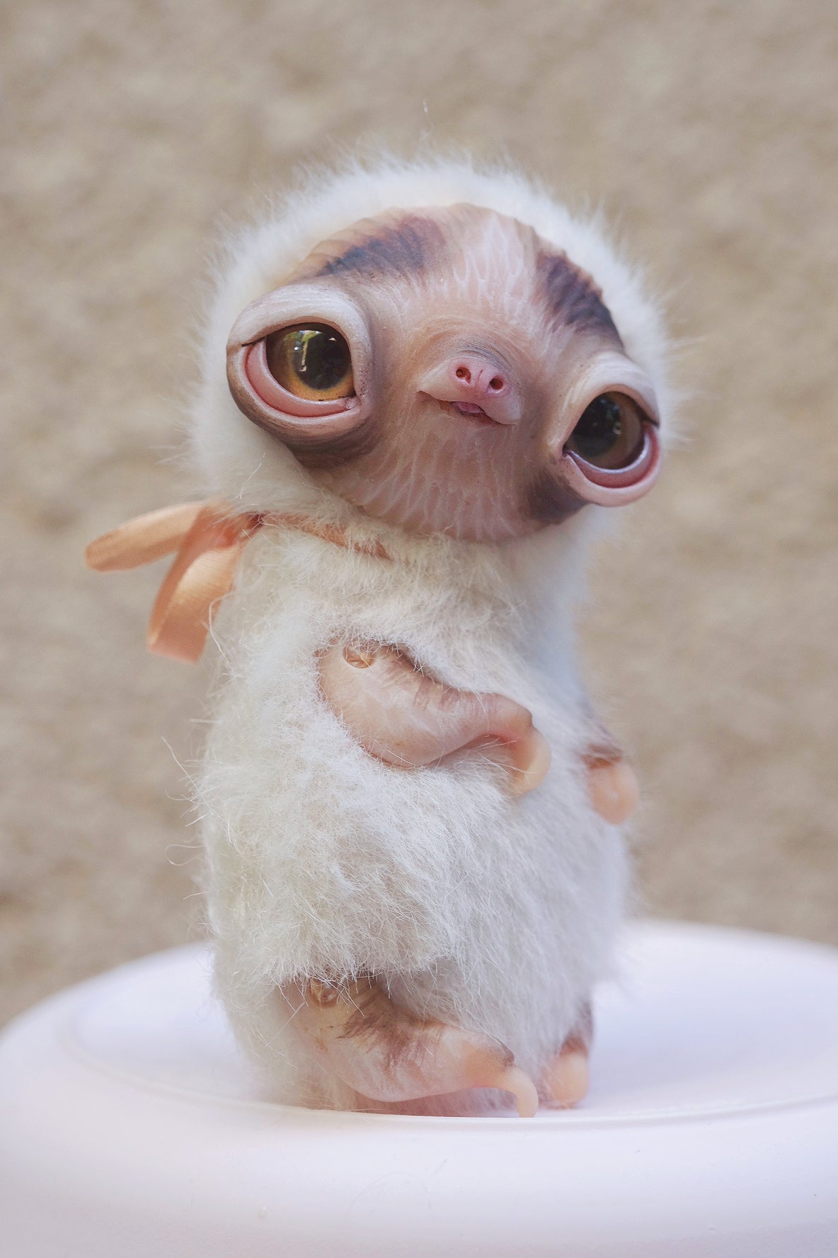 Little Sloth