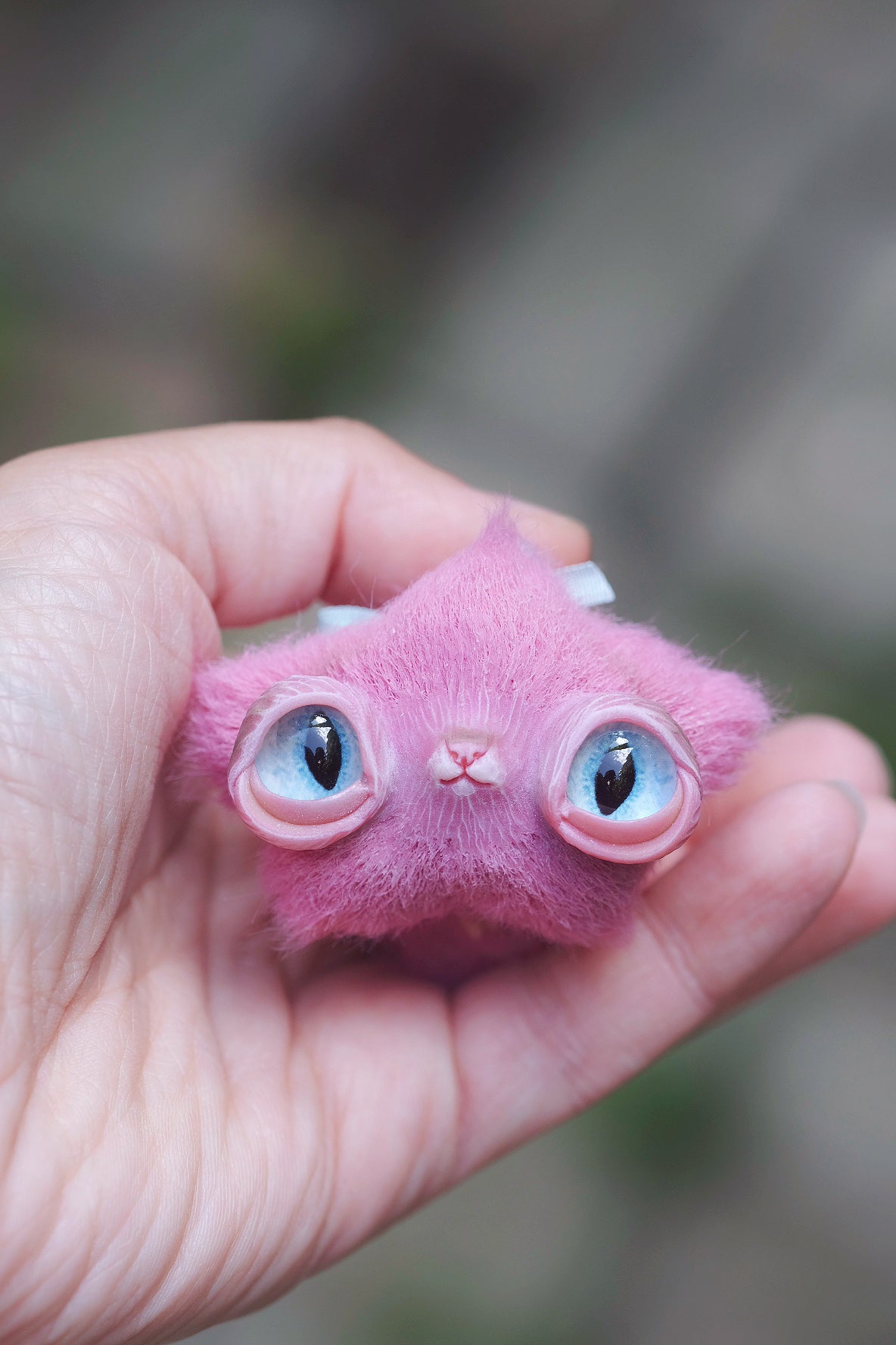 Star Kitty