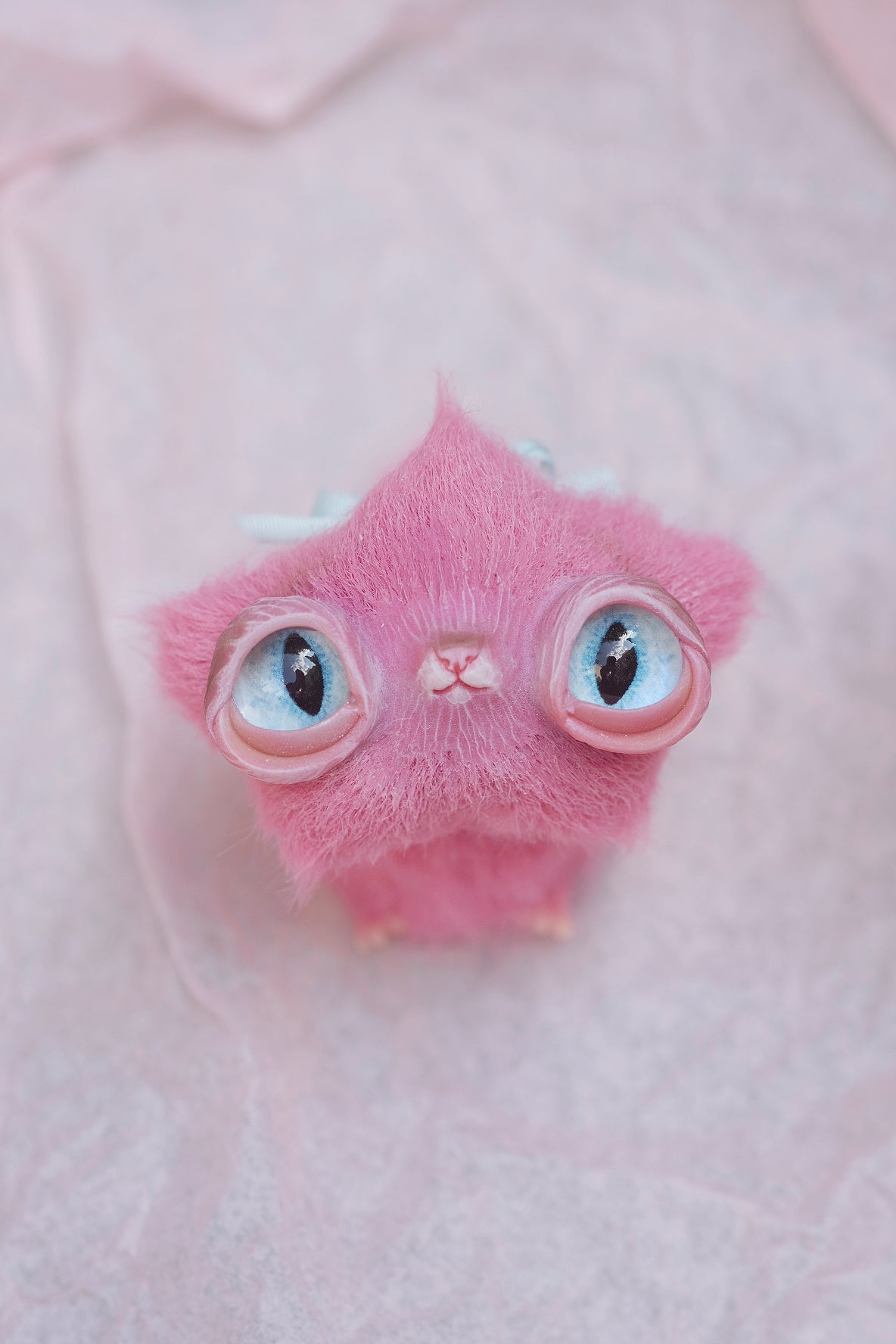 Star Kitty